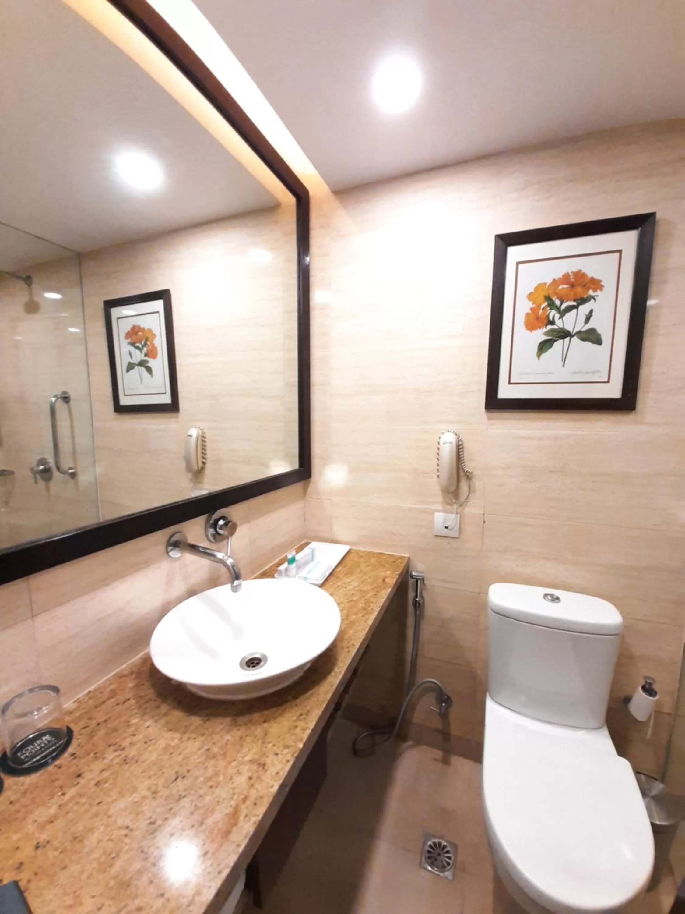 Toilet in Four Points by Sheraton Vadodara