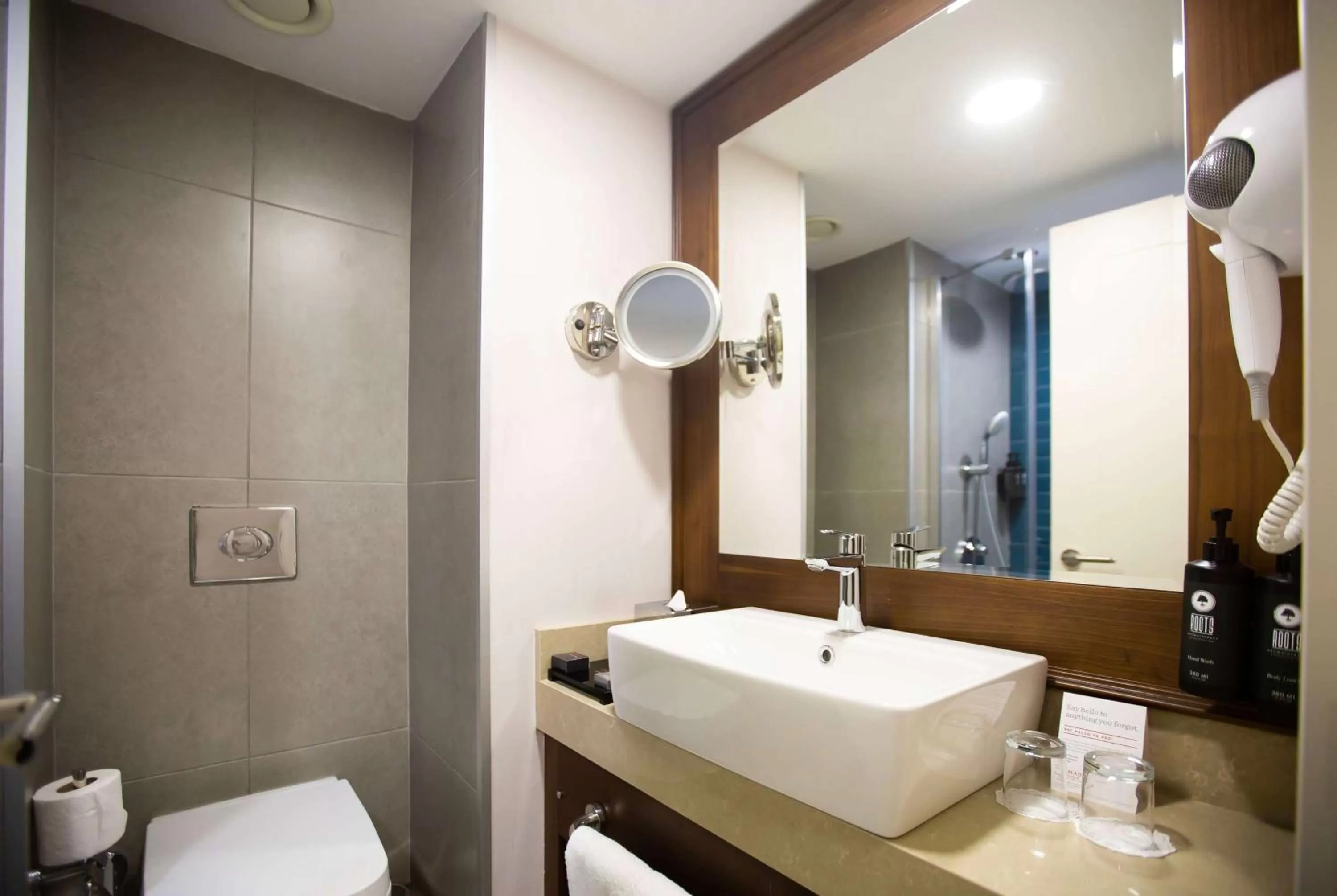 TV and multimedia in Ramada Plaza Sultanahmet