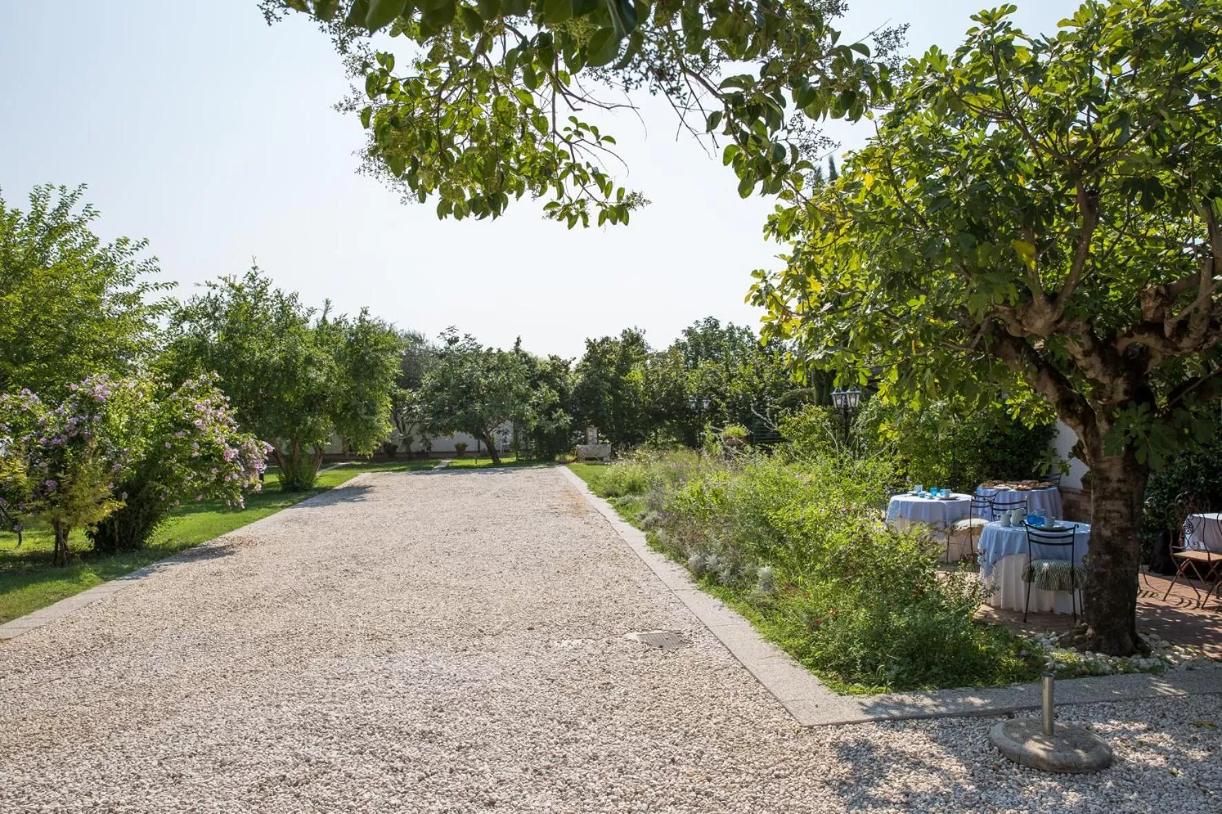 Property building, Garden in Antico Casale Spezia Pelagalli