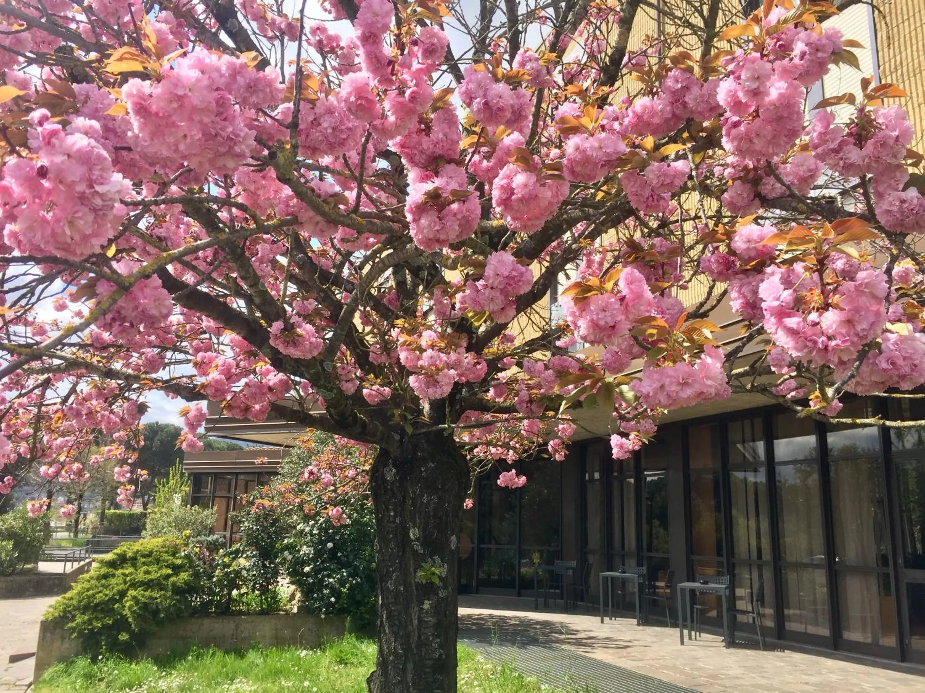 Garden in Hotel i Ciliegi