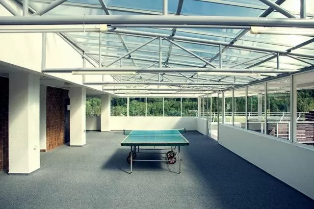 Table tennis in Hotel Adamantino