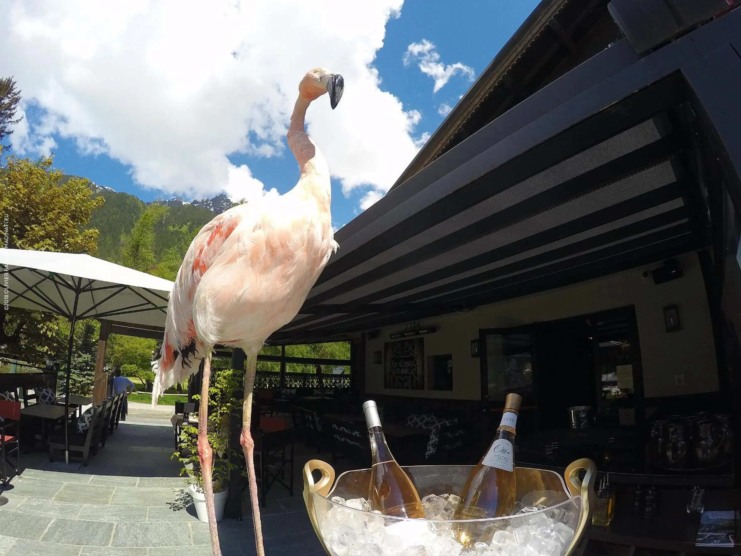 Lounge or bar in Hotel Le Castel
