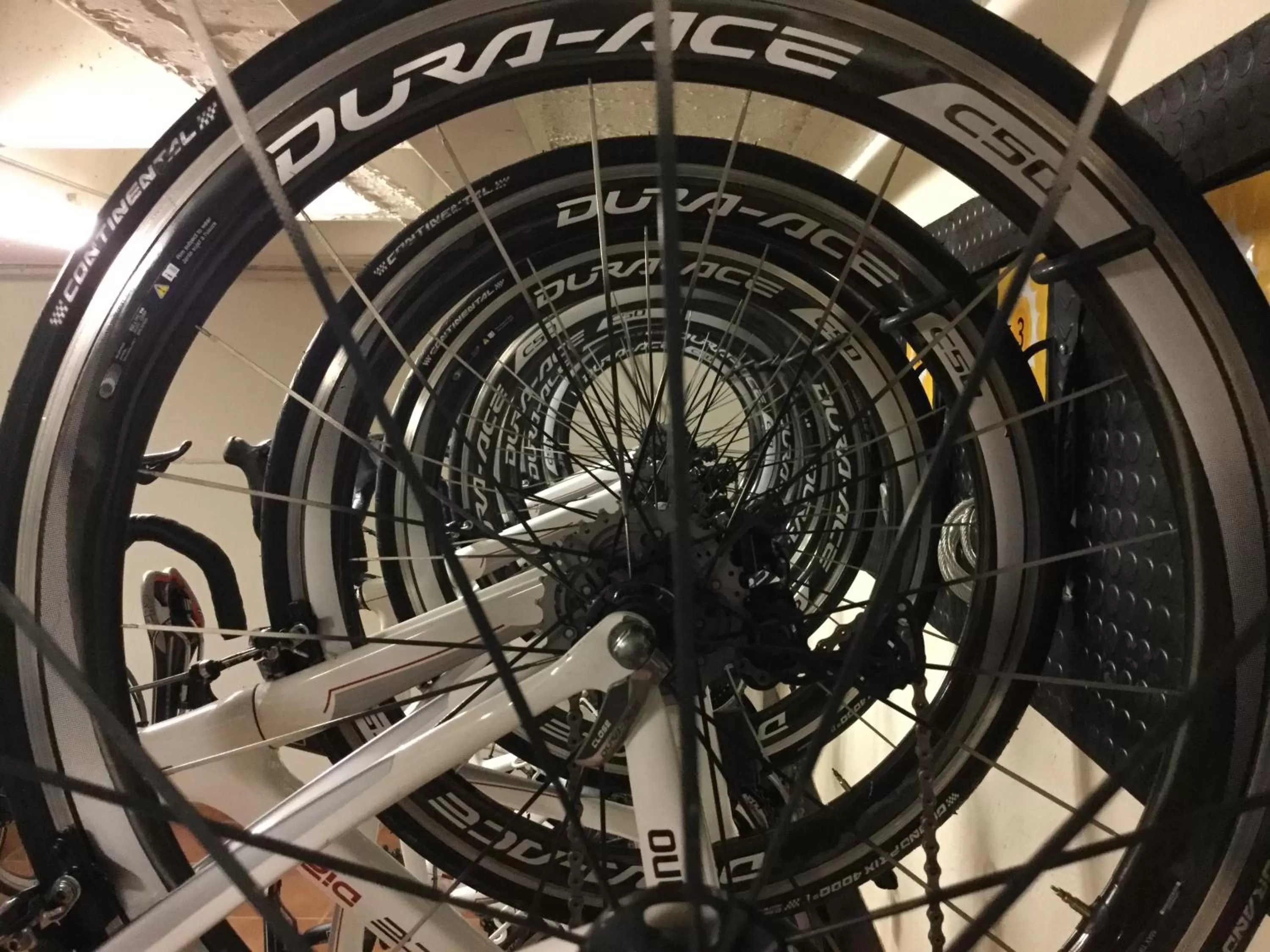 Cycling in Best Western Premier CMC Girona