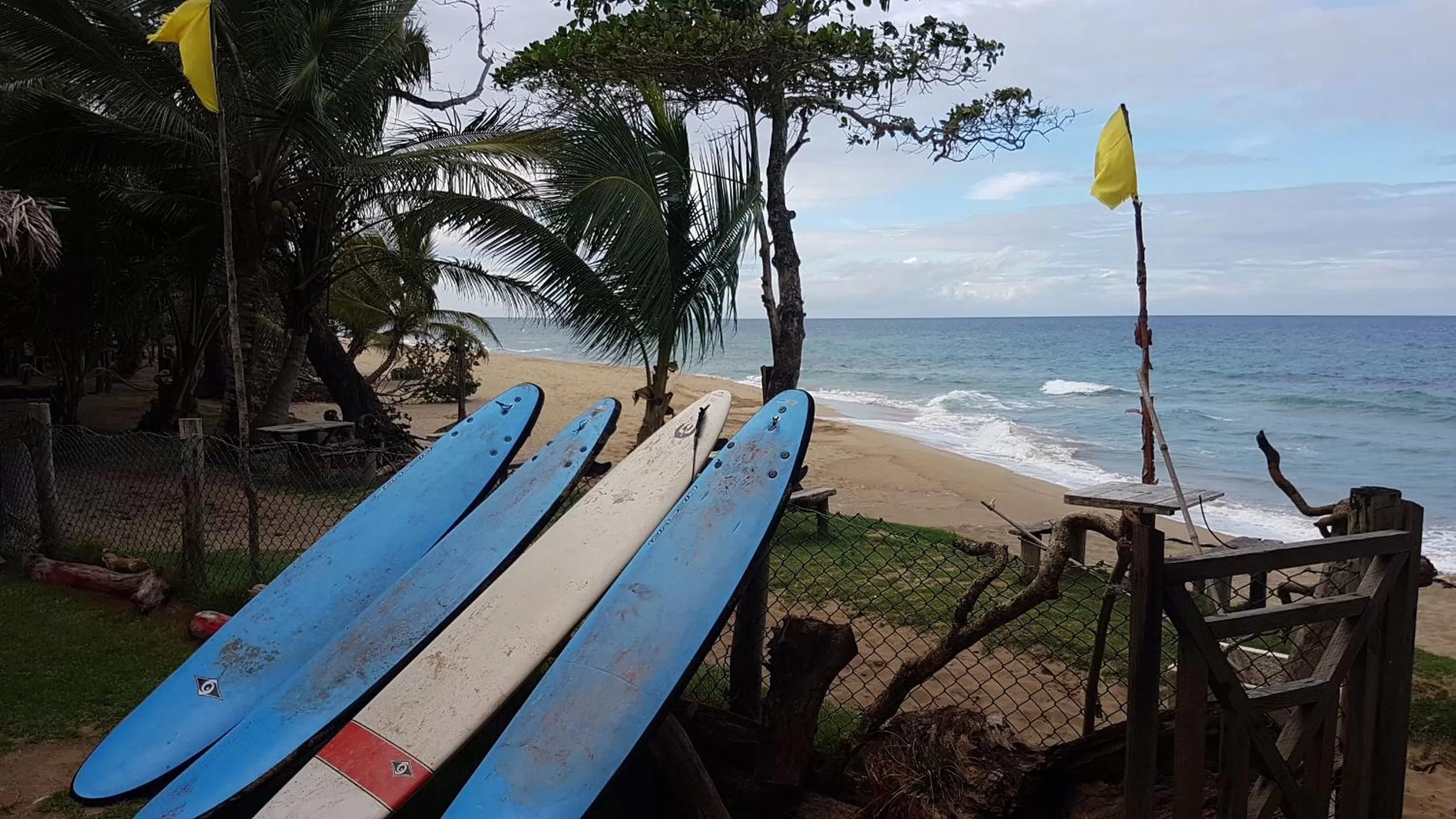 Windsurfing in Cabarete Maravilla Eco Lodge Boutique Beach Surf Encuentro, Kite, by AA Crypto Group