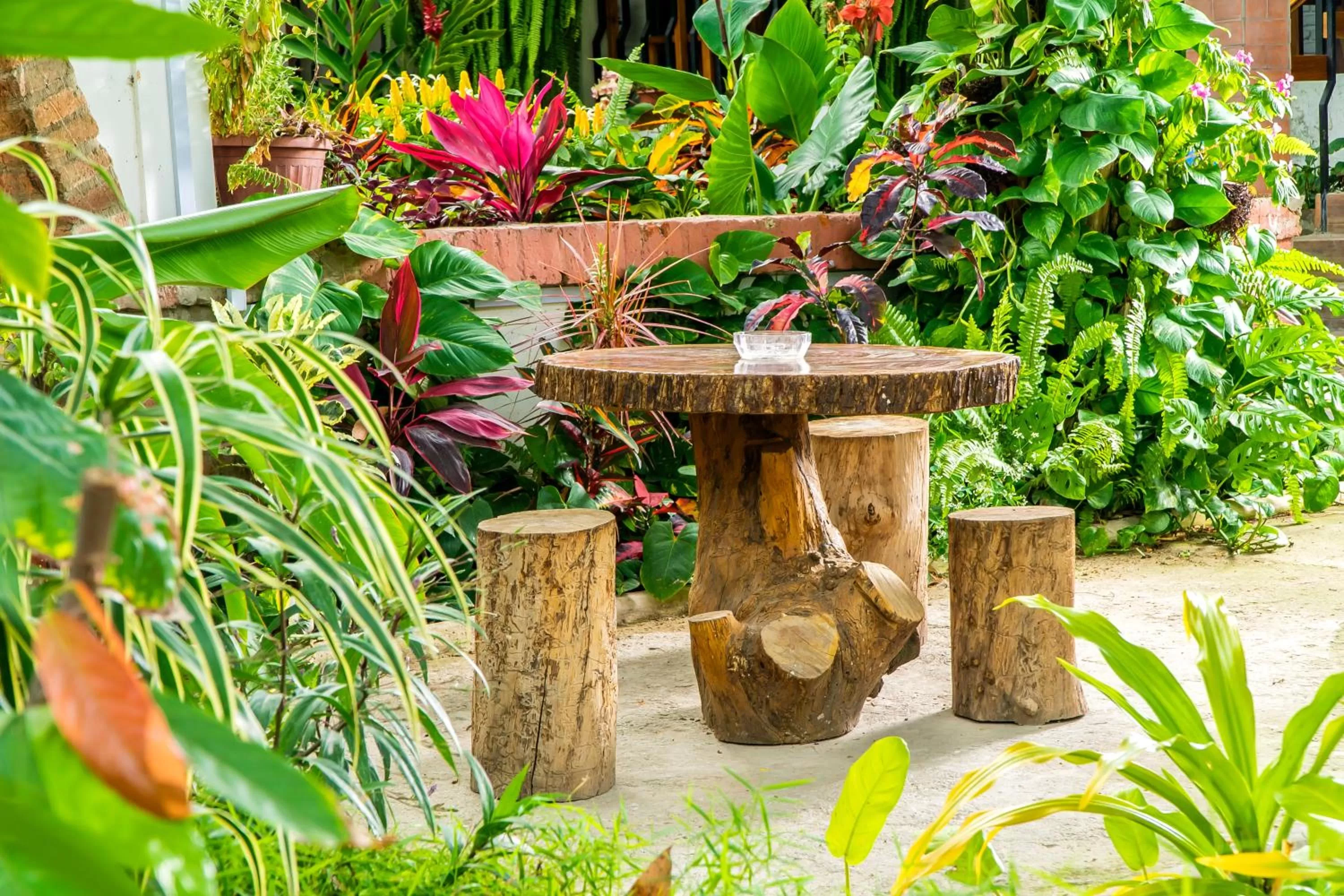 Patio in Hotel Boutique Platanal