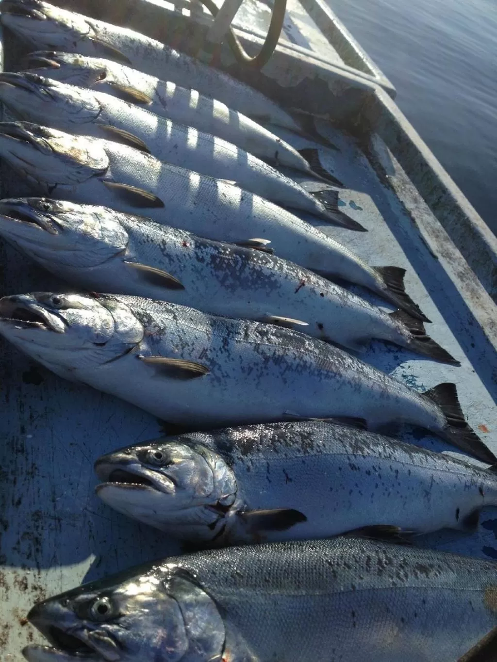 Curley's Resort & Dive Center