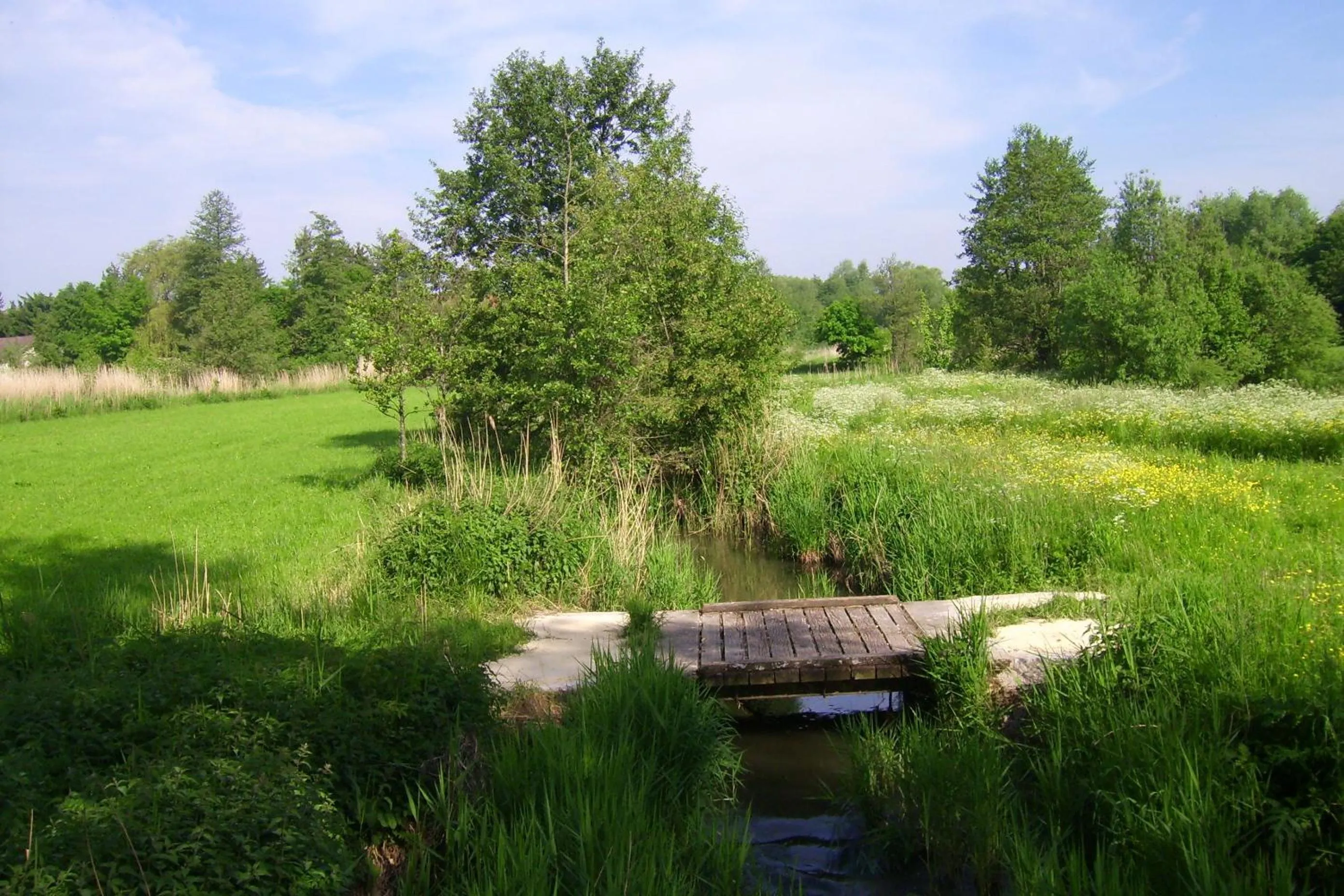 Day in WAGNERS Hotel Greifen-Post