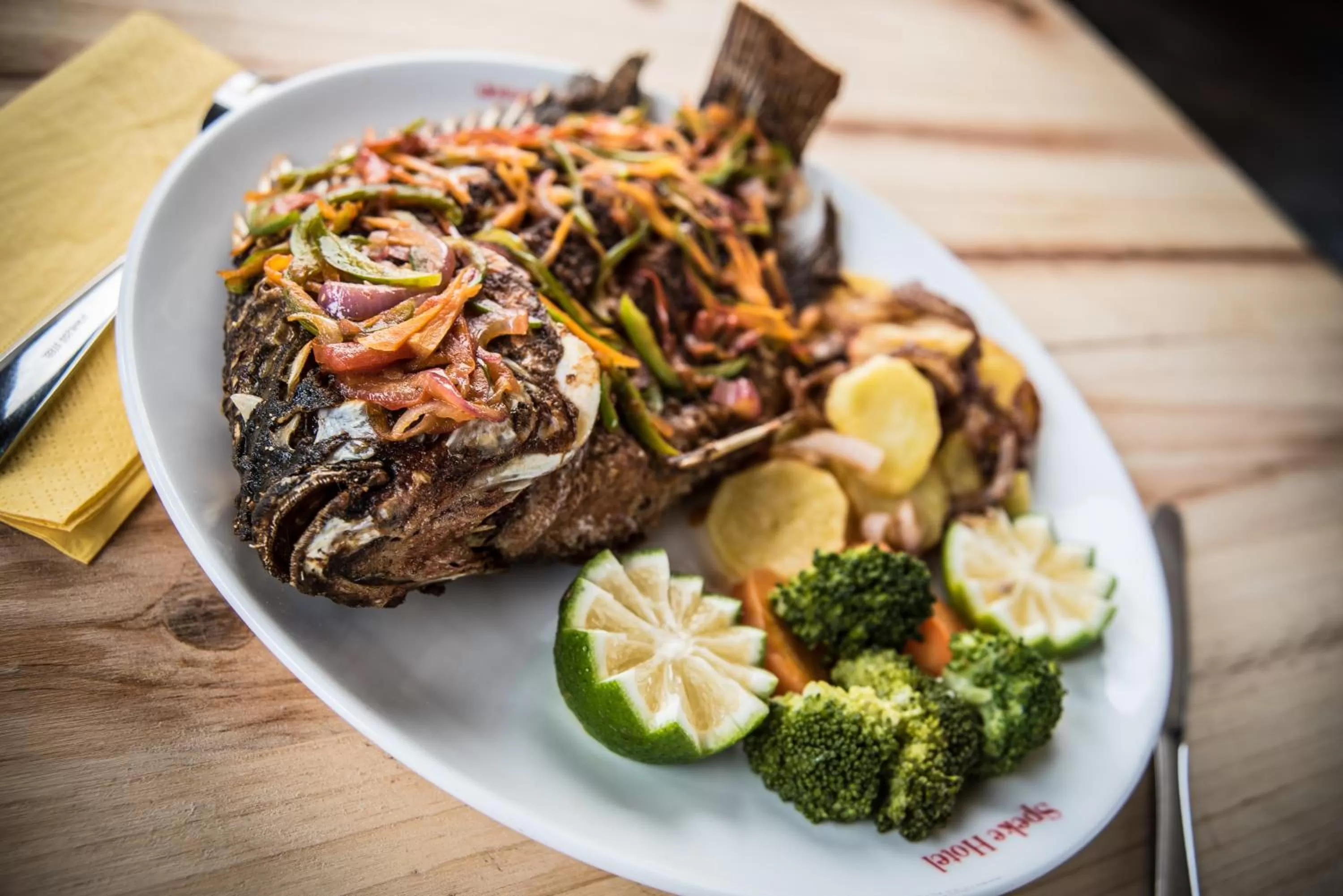 Food in Dolphin Suites