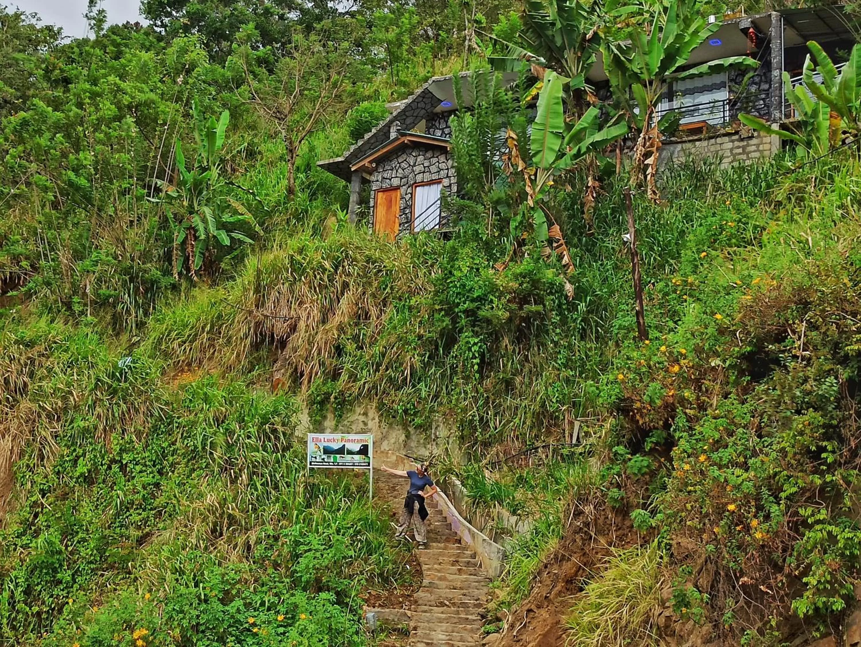 Ella Lucky Panoramic