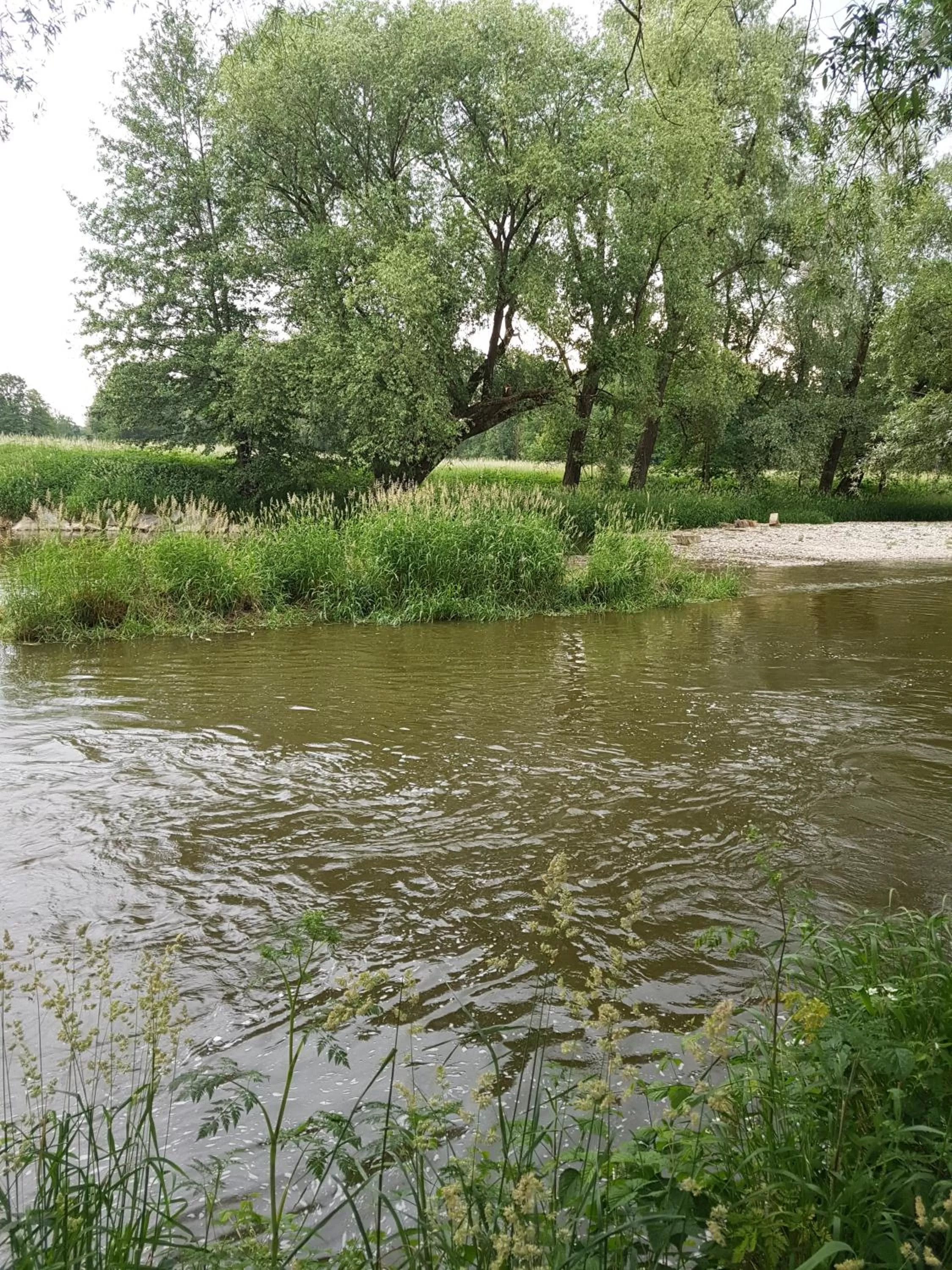 Spring in Kurhotel Anders