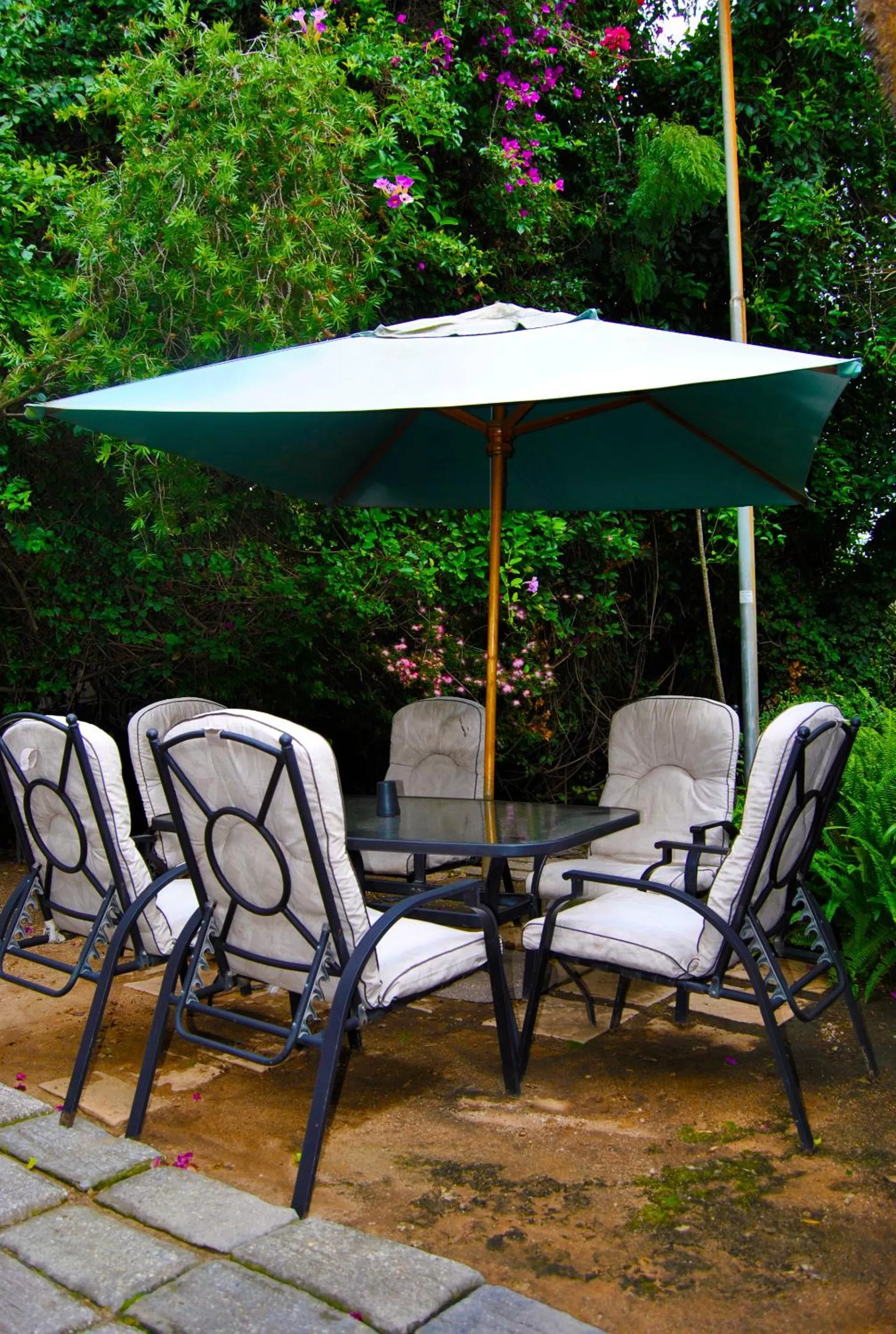 Balcony/Terrace in Birch Tree Cottage