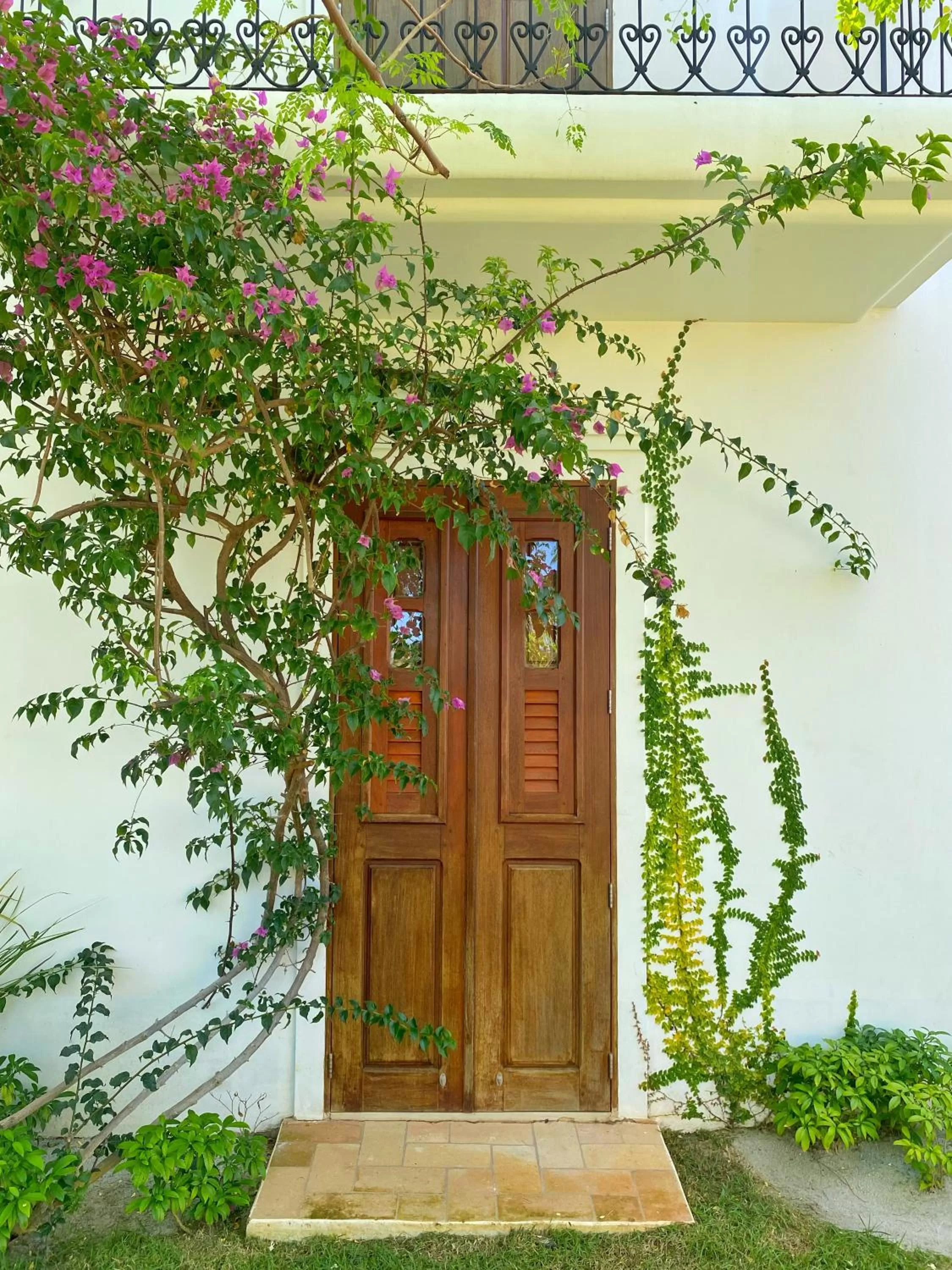 Garden in Villa Canziani & Donato