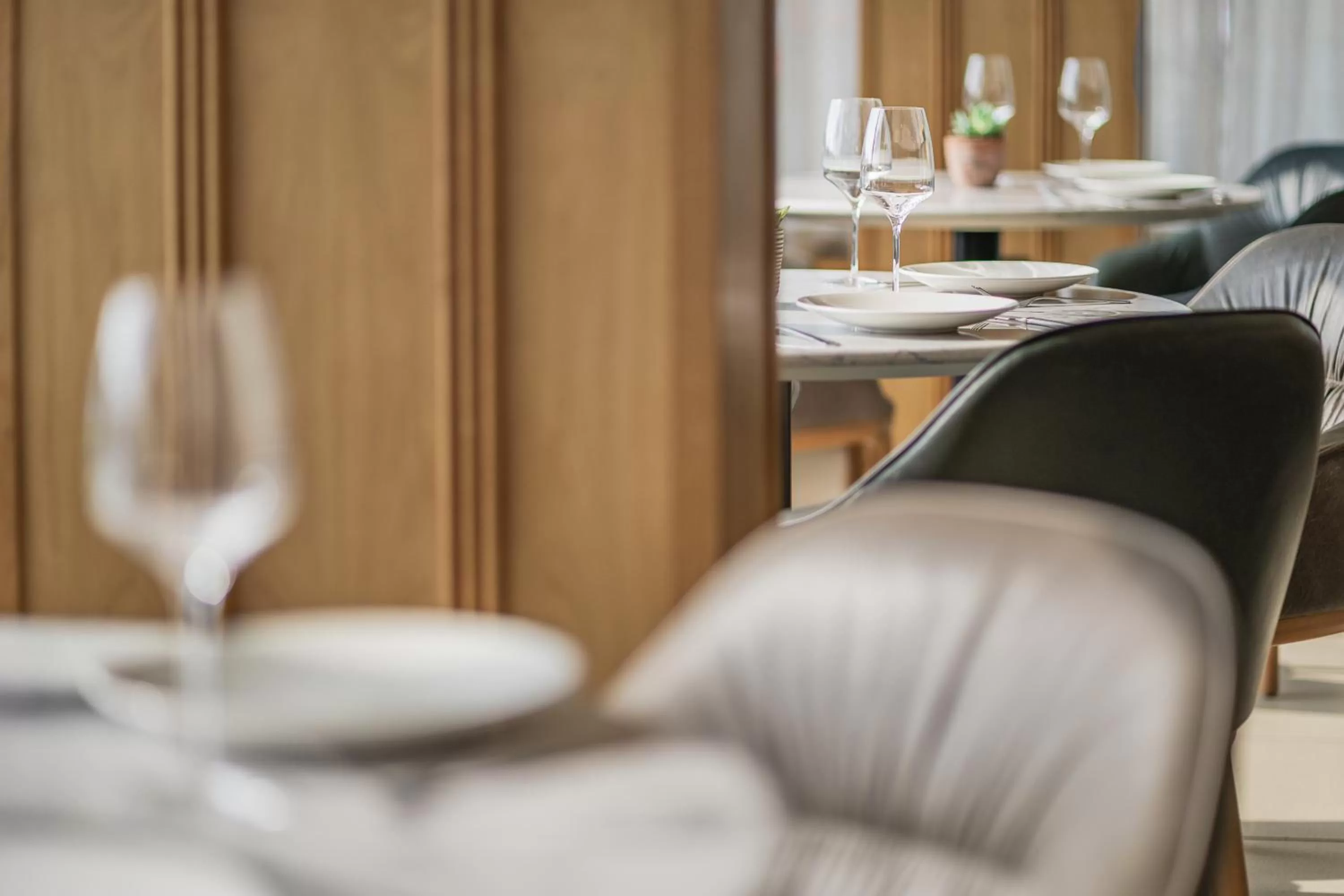 Restaurant/places to eat in Aberystwyth Park Lodge Hotel