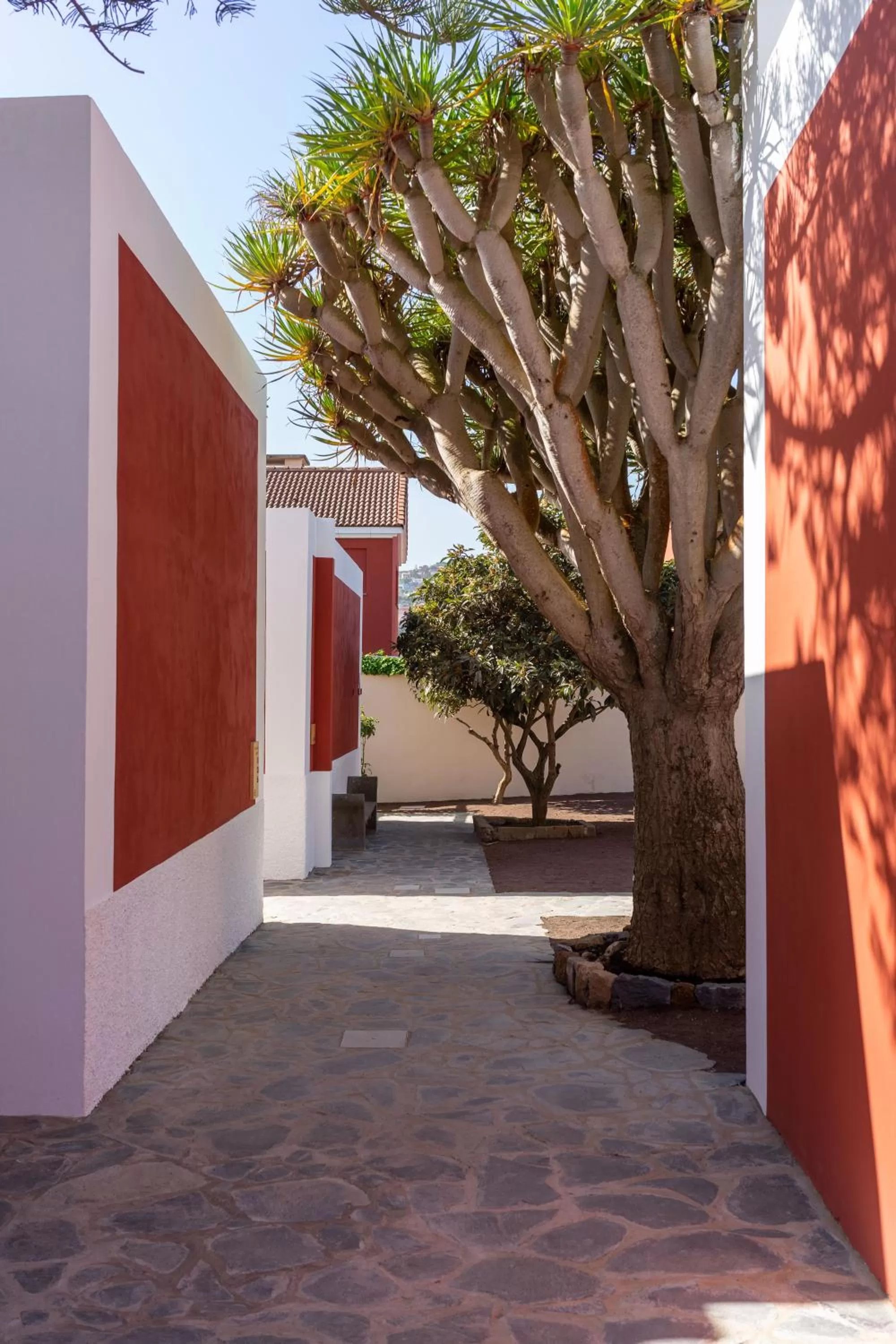 Off site in Albor Suites