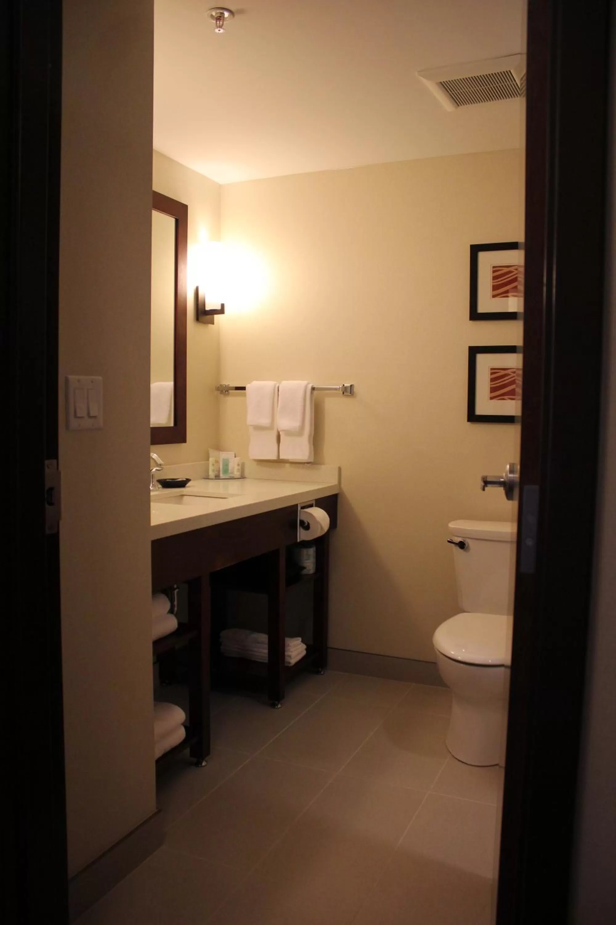 Shower in Comfort Inn & Suites Edmonton International Airport