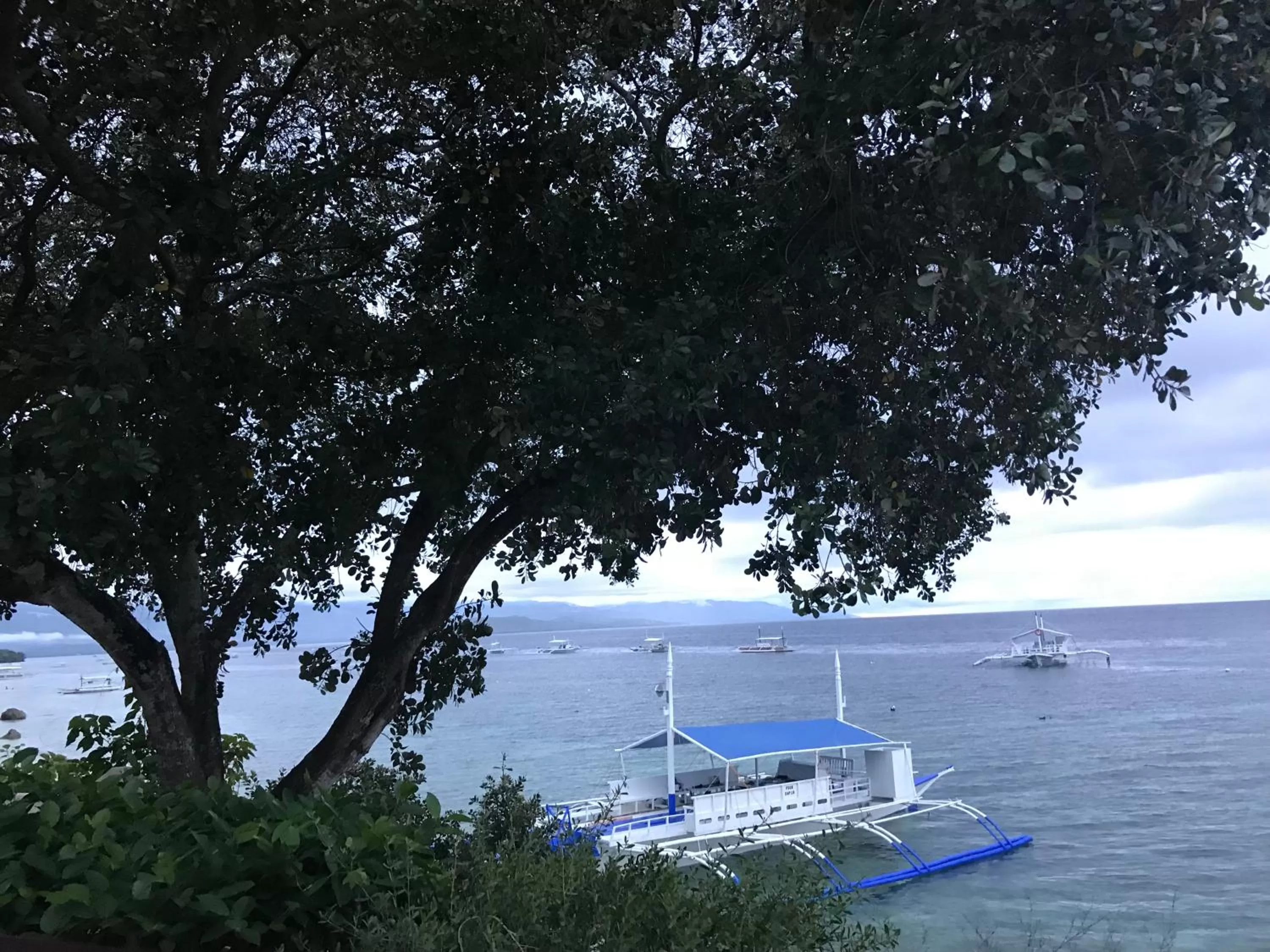 Pescador View - Beach Resort & Restaurant