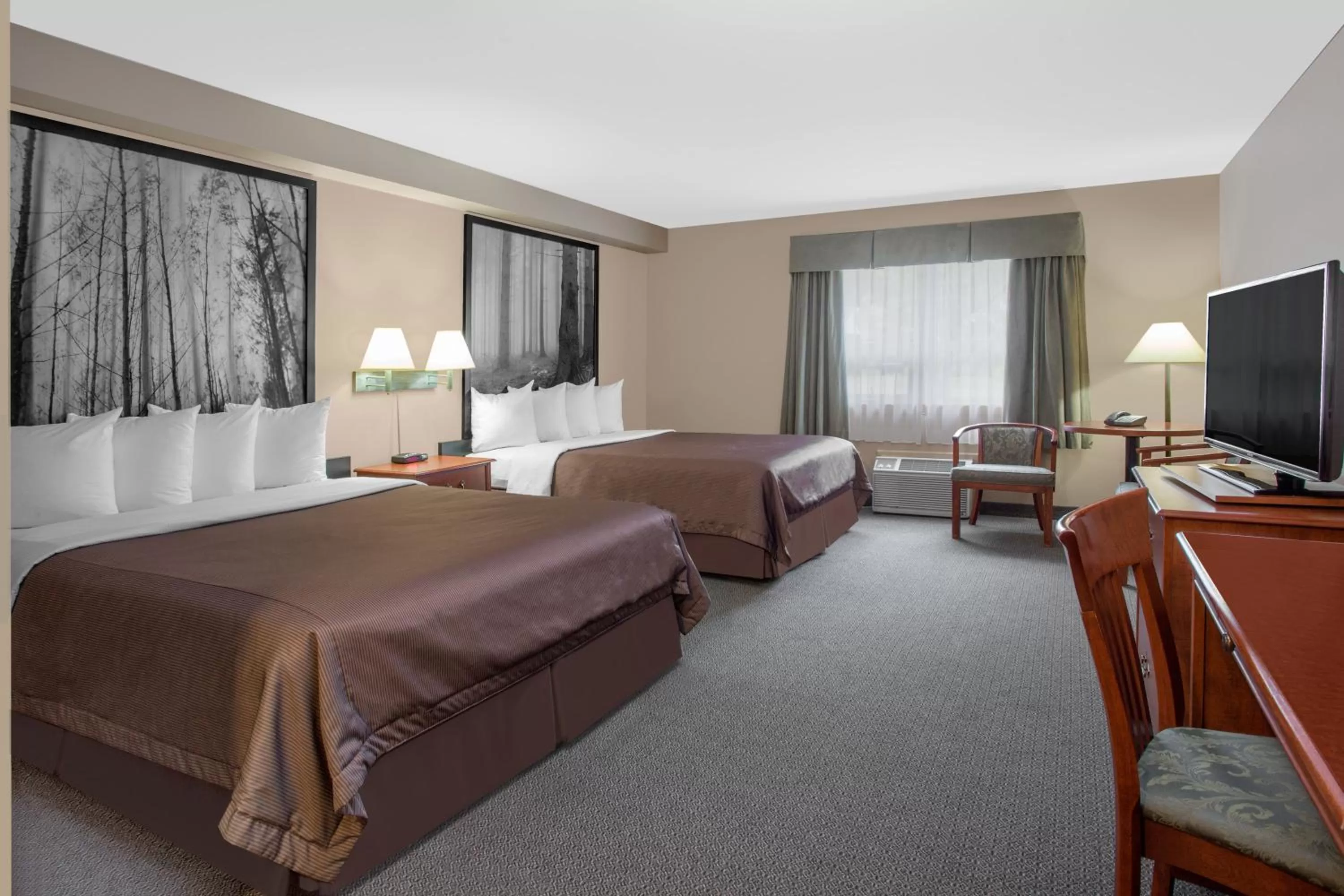 Photo of the whole room, Bed in Super 8 by Wyndham Sault Ste Marie On