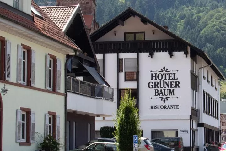 Restaurant/places to eat in Hotel Grüner Baum - Melissone Italian Restaurant