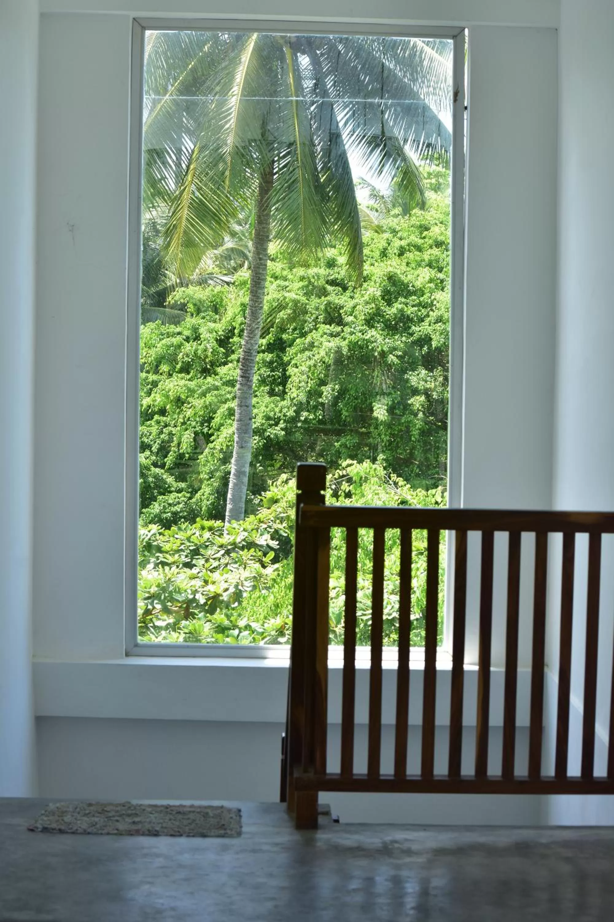 Garden view in Green Almond Hotel