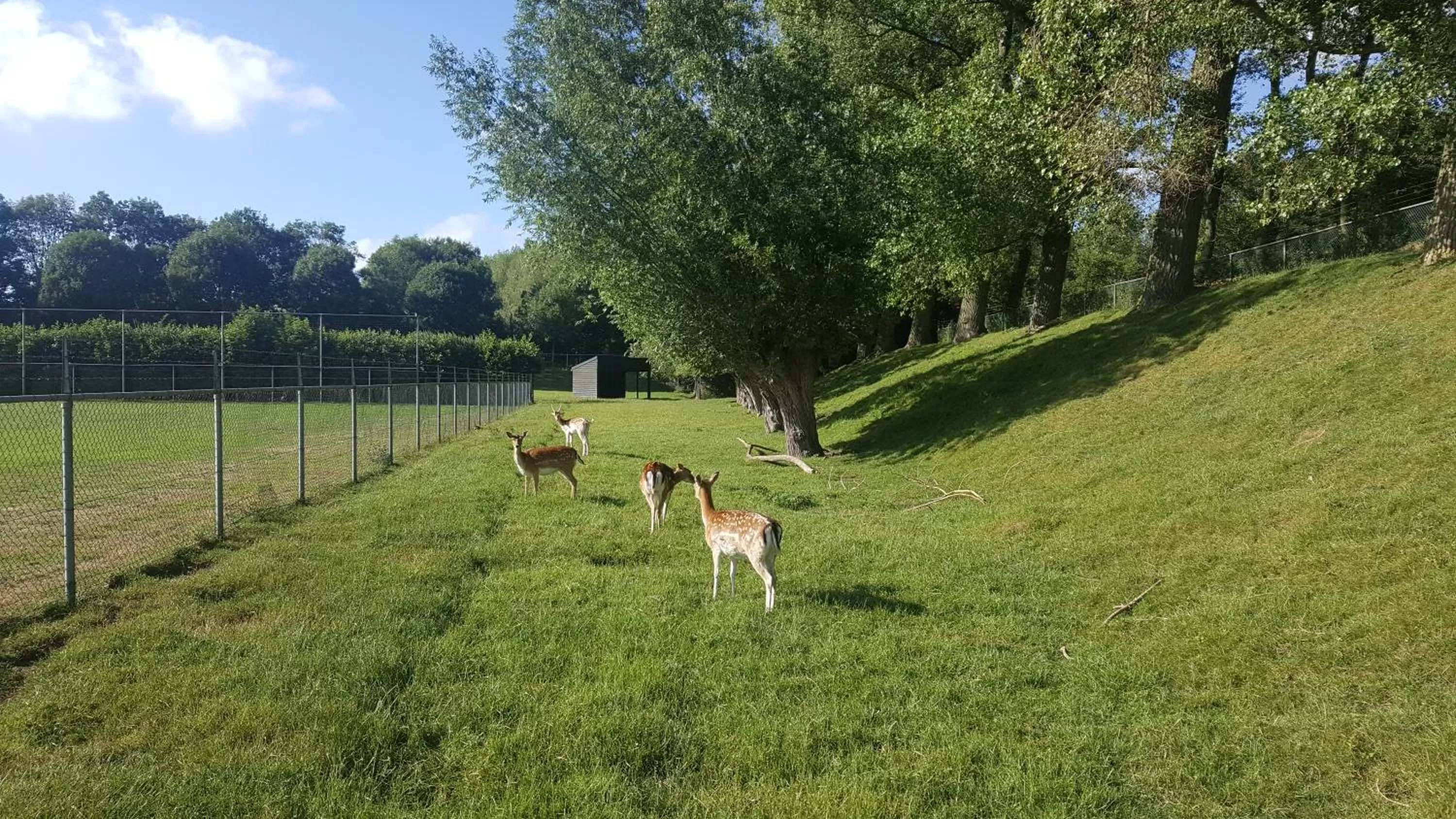 Natural landscape in Hotel Le Provencal