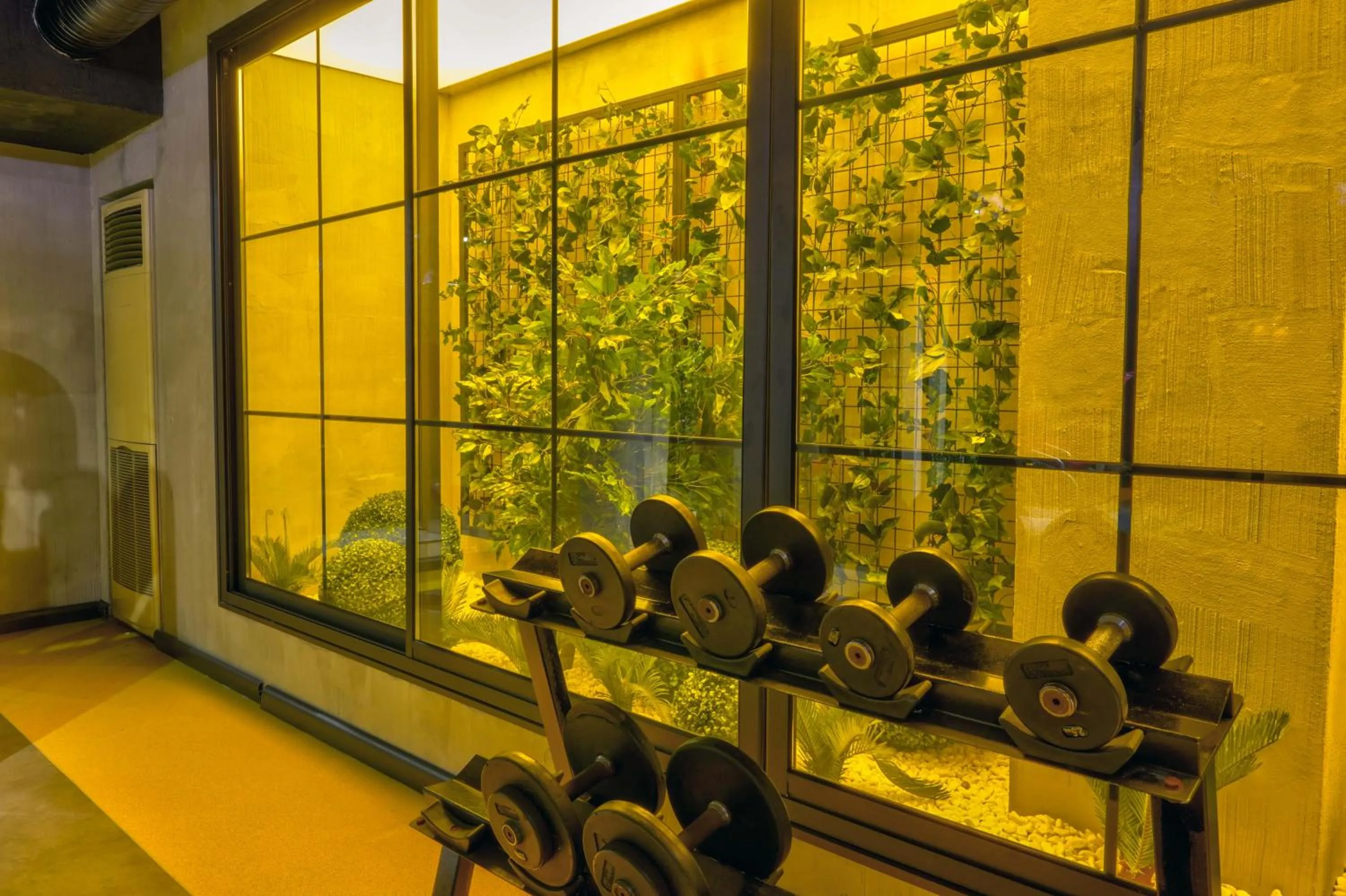 Fitness centre/facilities in Tac Premier Hotel & Spa