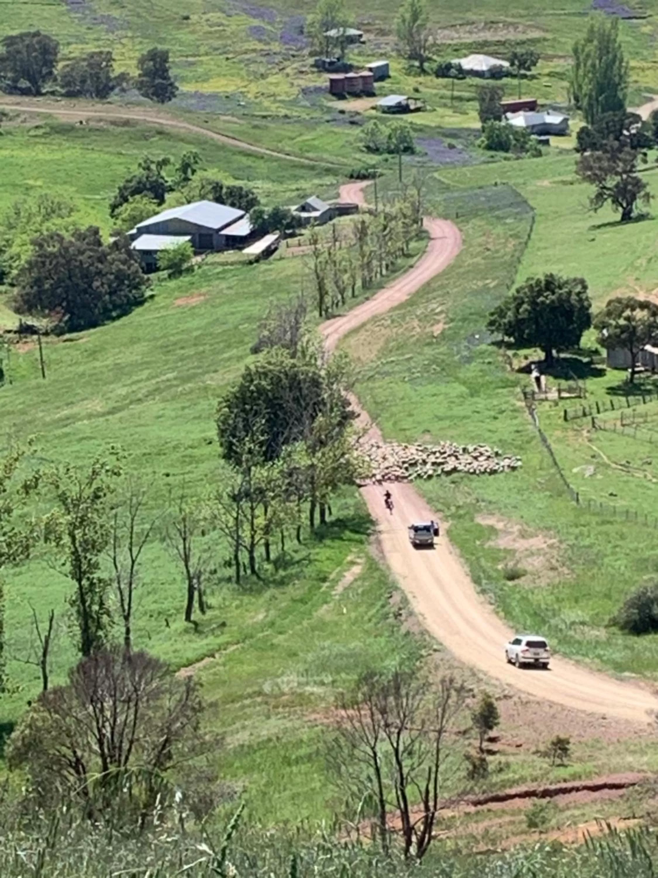 Bird's-eye View in Amazing Views Pet Friendly Bed and Breakfast