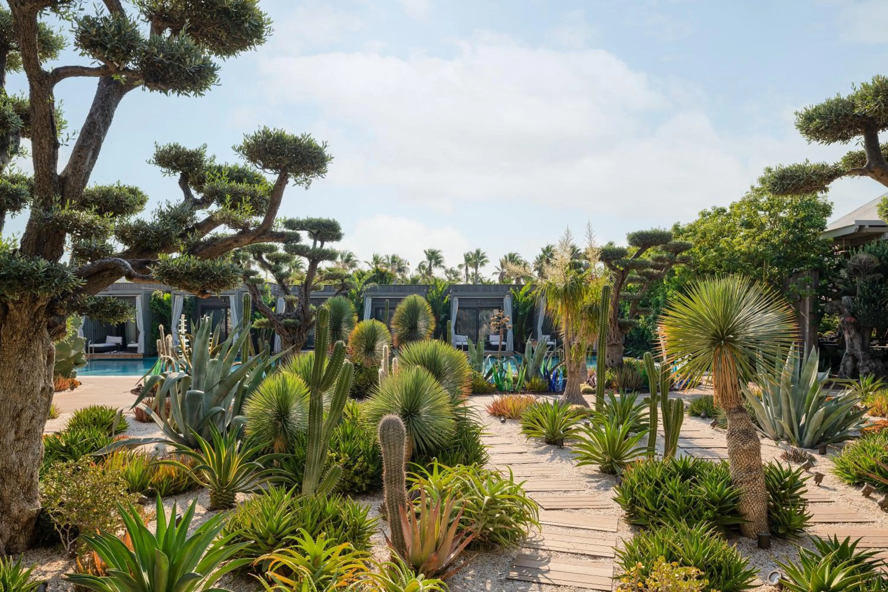 Garden in Biblos Resort Alaçatı