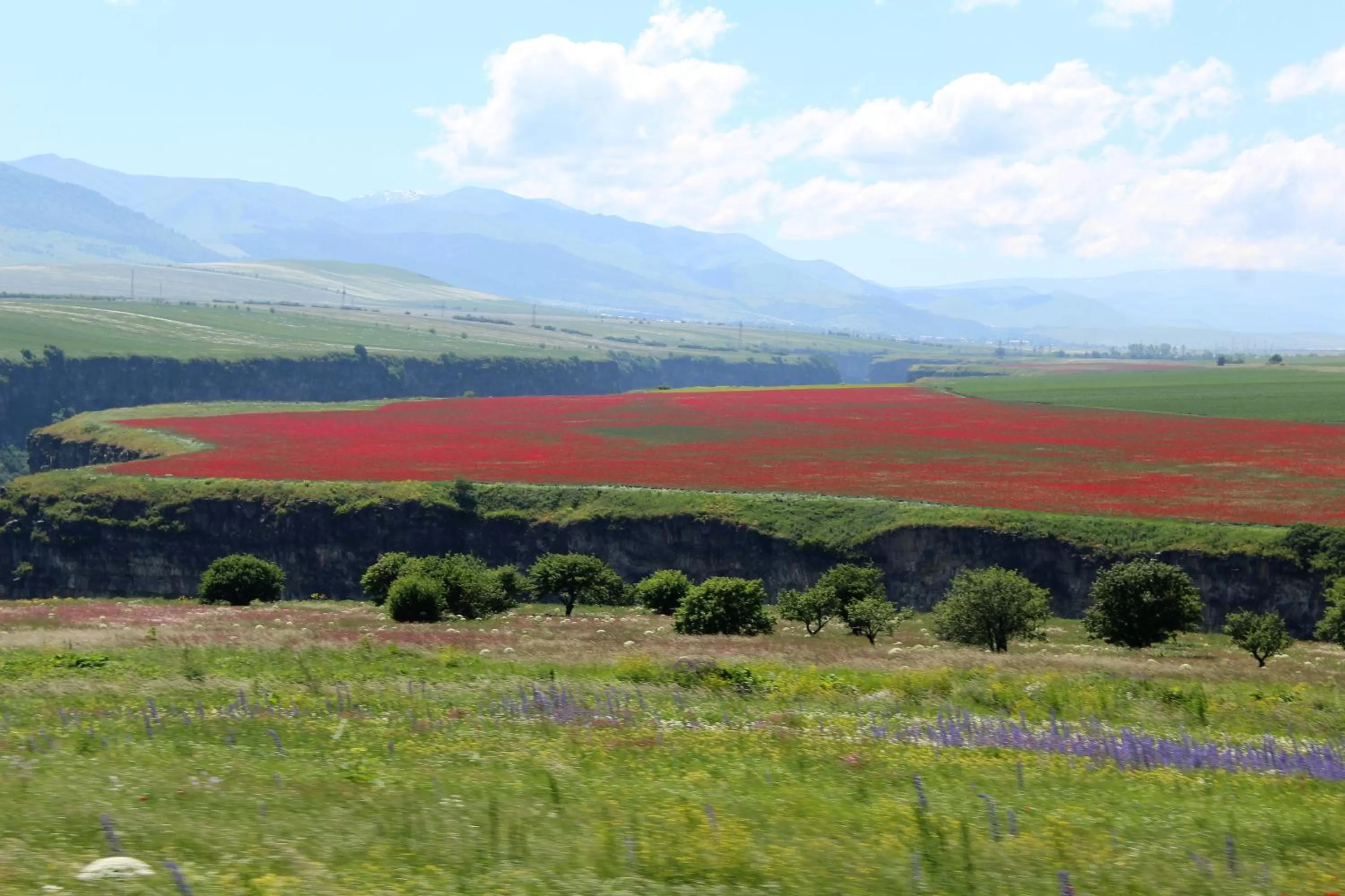 Natural Landscape in Ruzanna's Bed & Breakfast