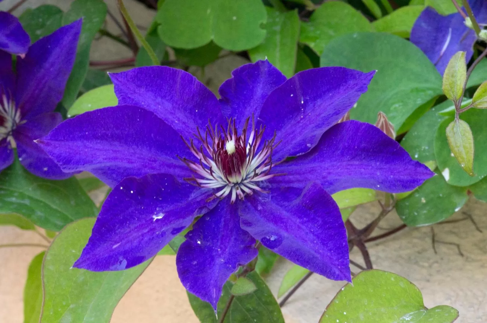 Hôtel A casa di Maria Cicilia