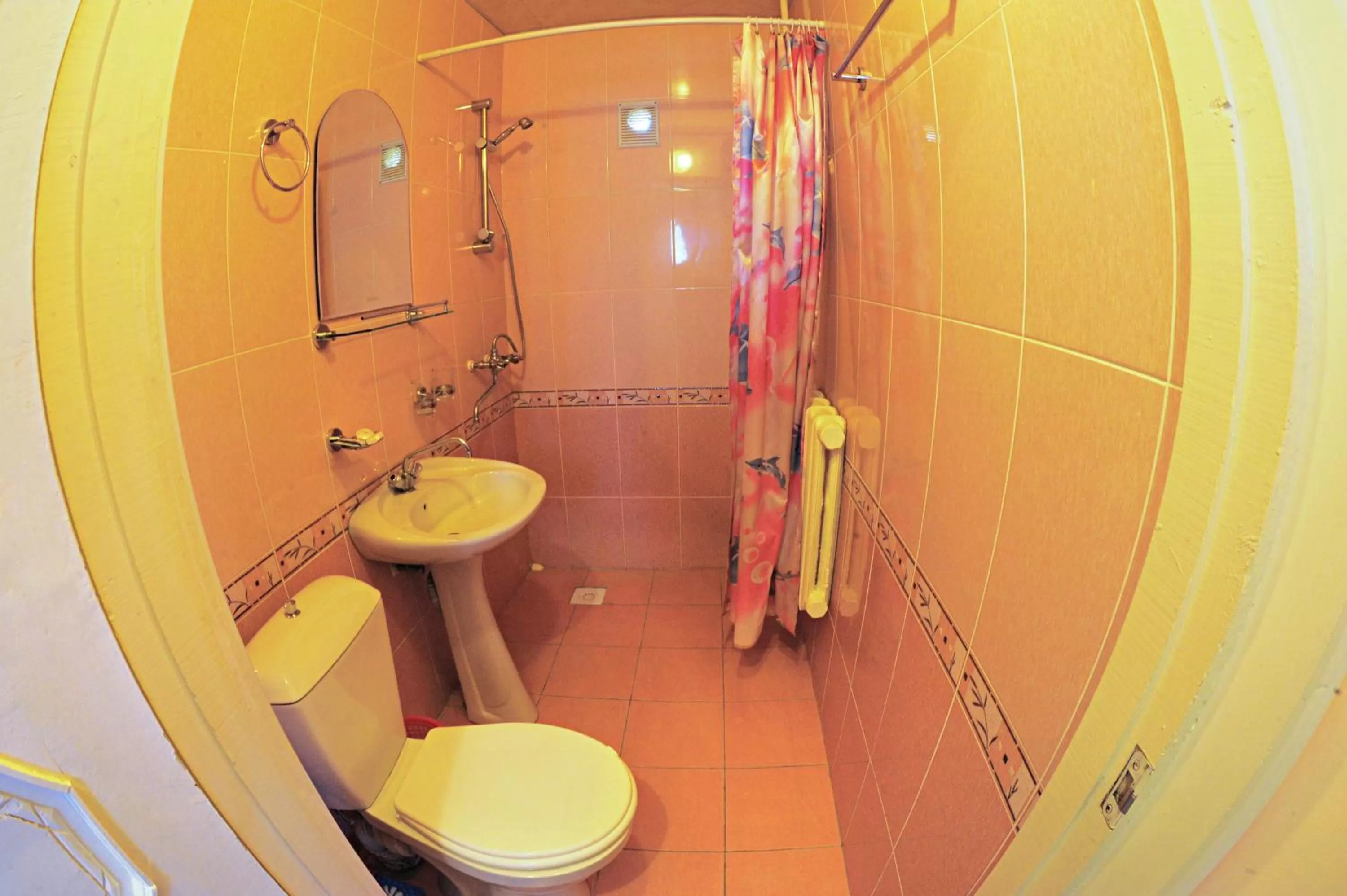 Bathroom in Sukhrob Barzu Hotel