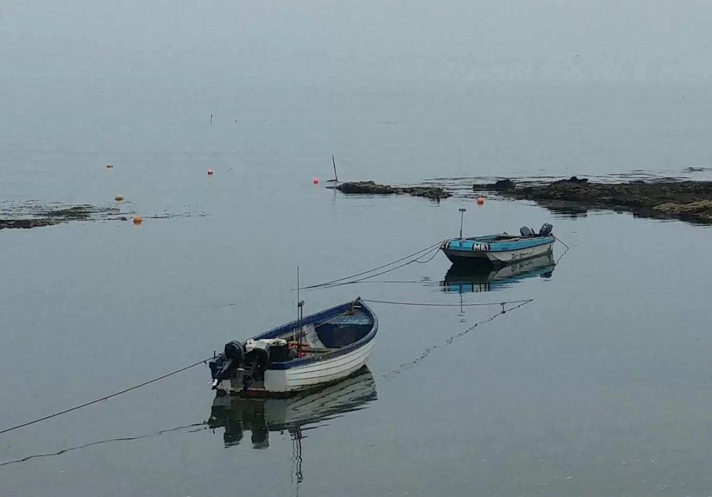 Other in Wagtail Lodge