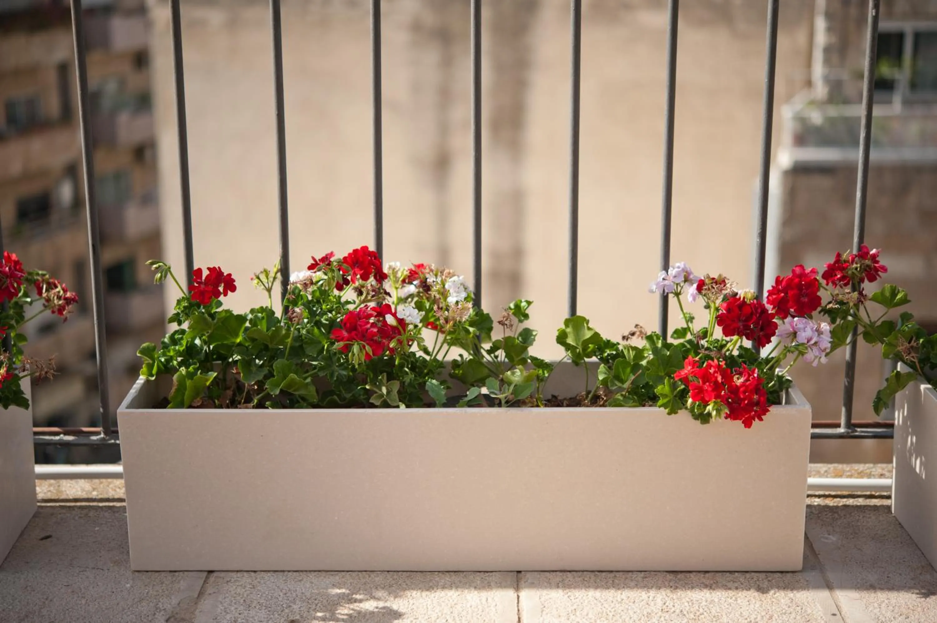 Decorative detail in Montefiore Hotel By Smart Hotels