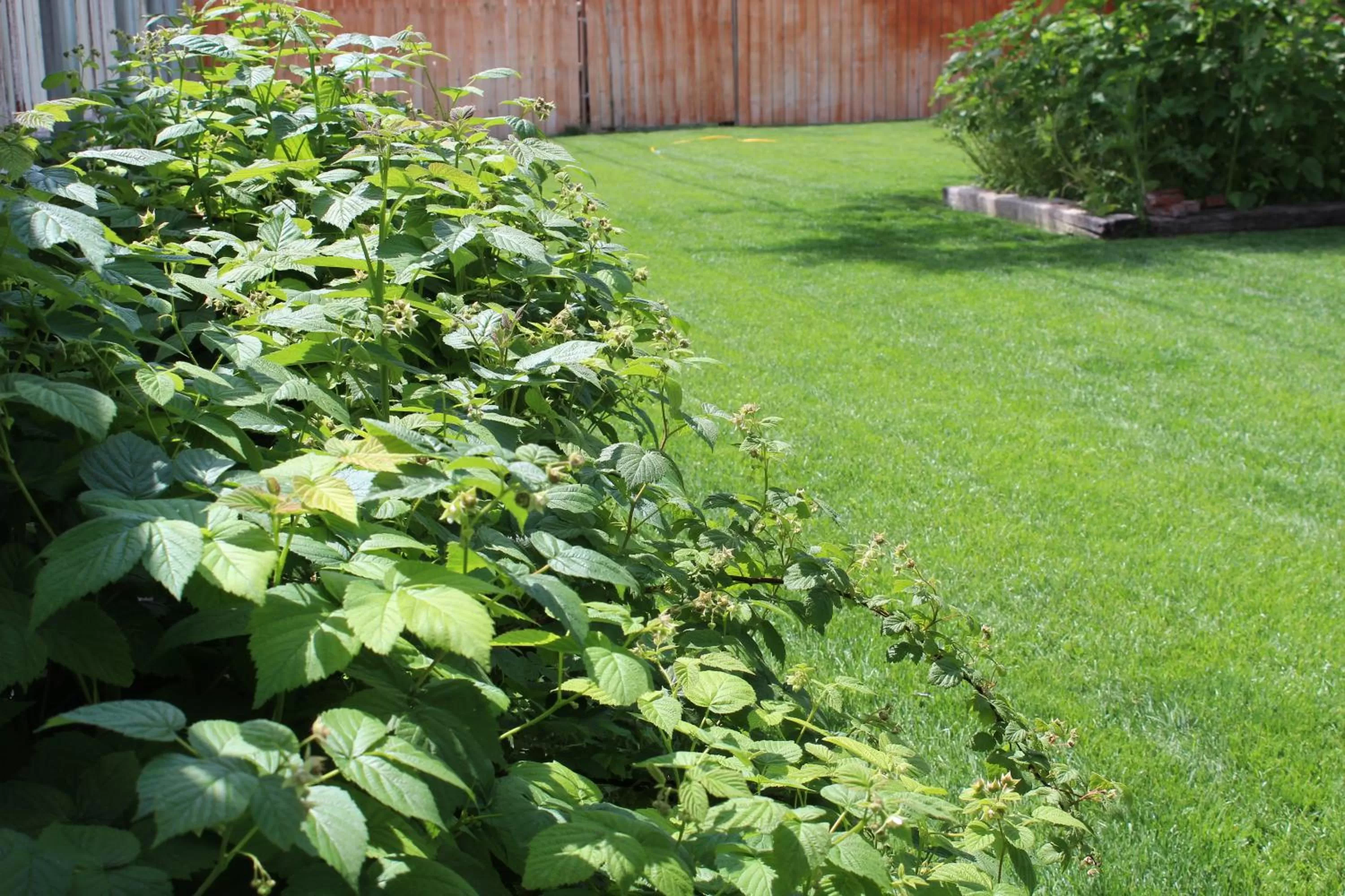 Area and facilities in Ontario Inn