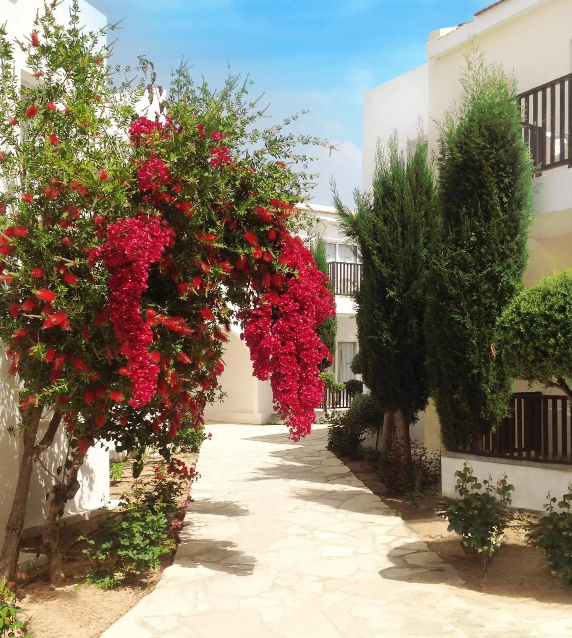 Garden in Akti Beach Hotel & Village Resort