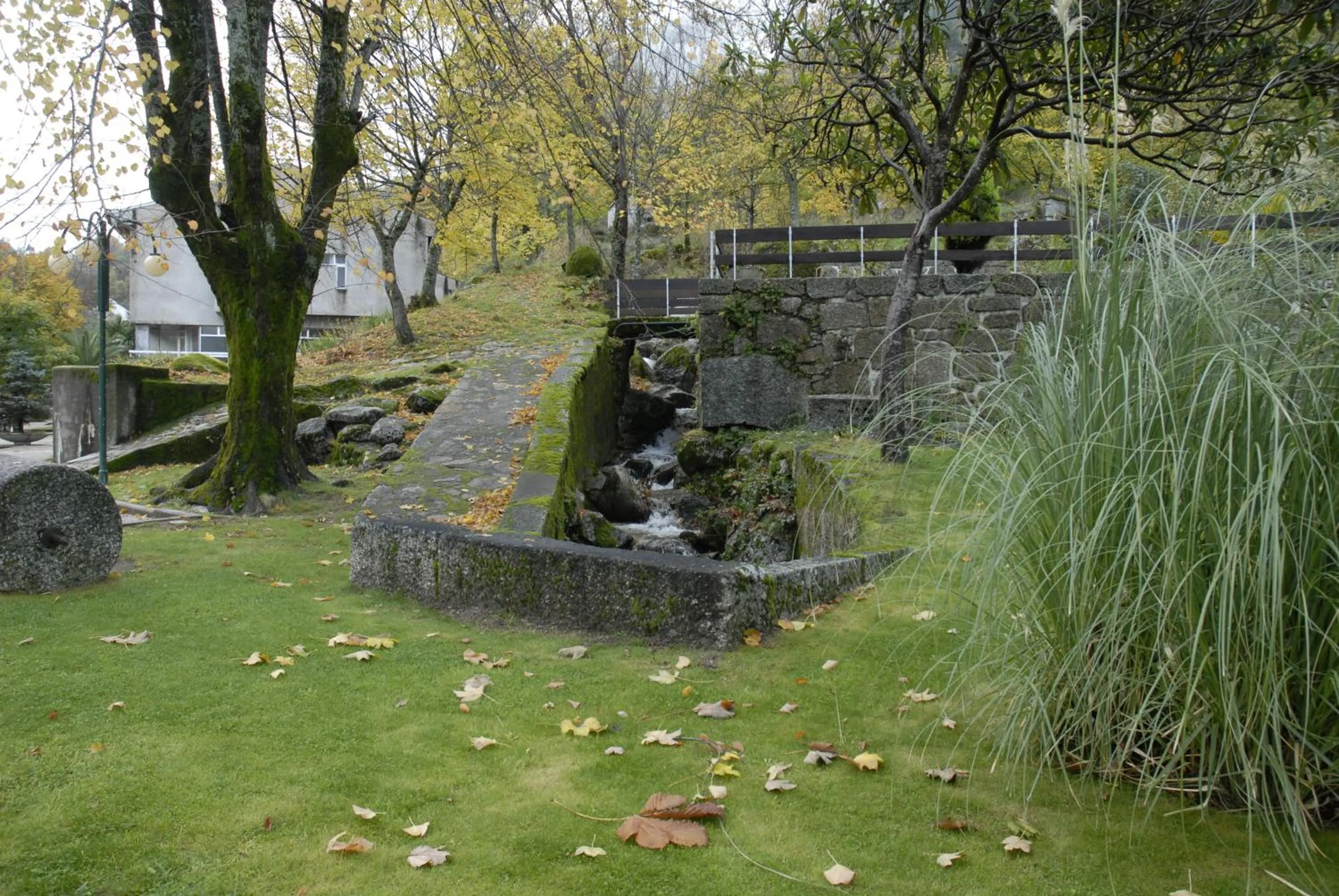 Natural landscape in INATEL Manteigas