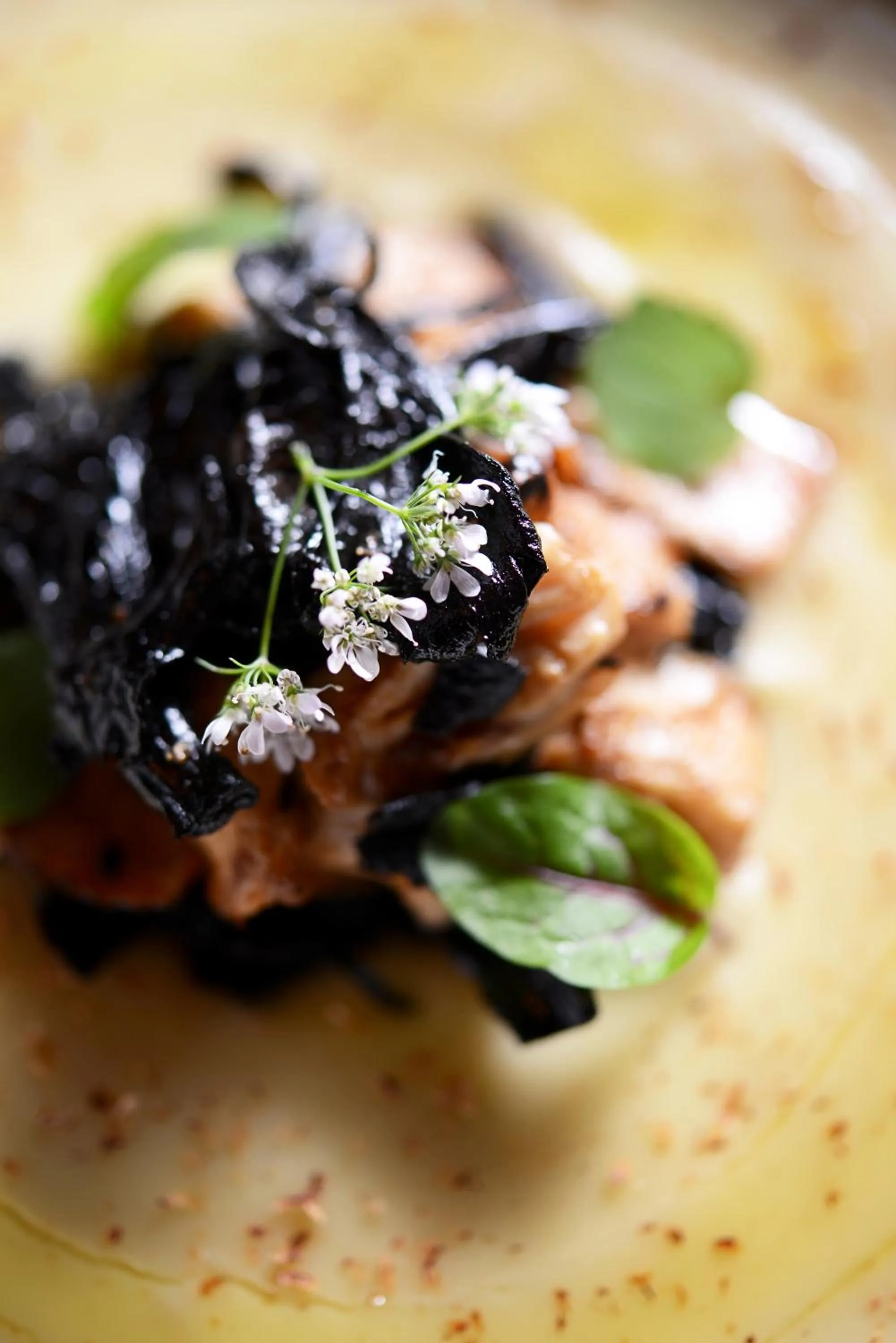 Restaurant/places to eat in Hôtel de l'Abbaye Lyon - Boutique Hôtel