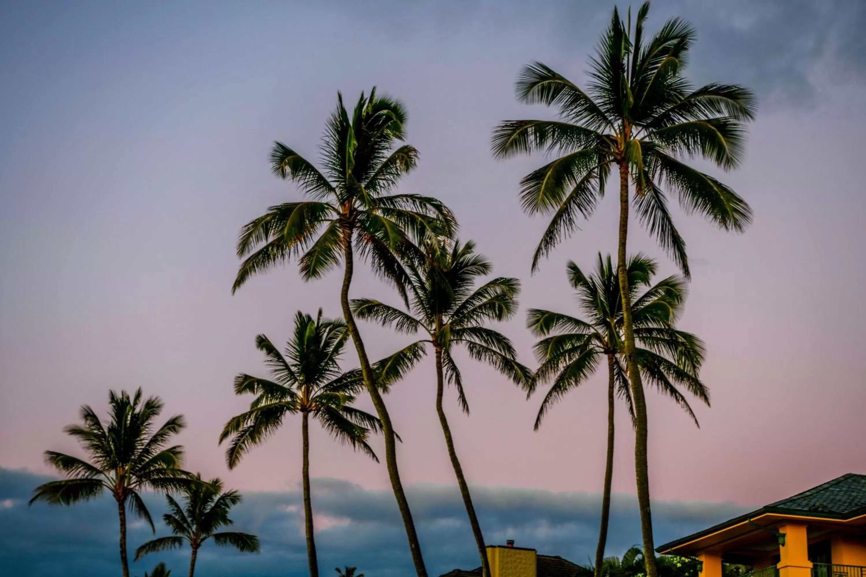 View (from property/room) in The Ritz-Carlton Maui, Kapalua