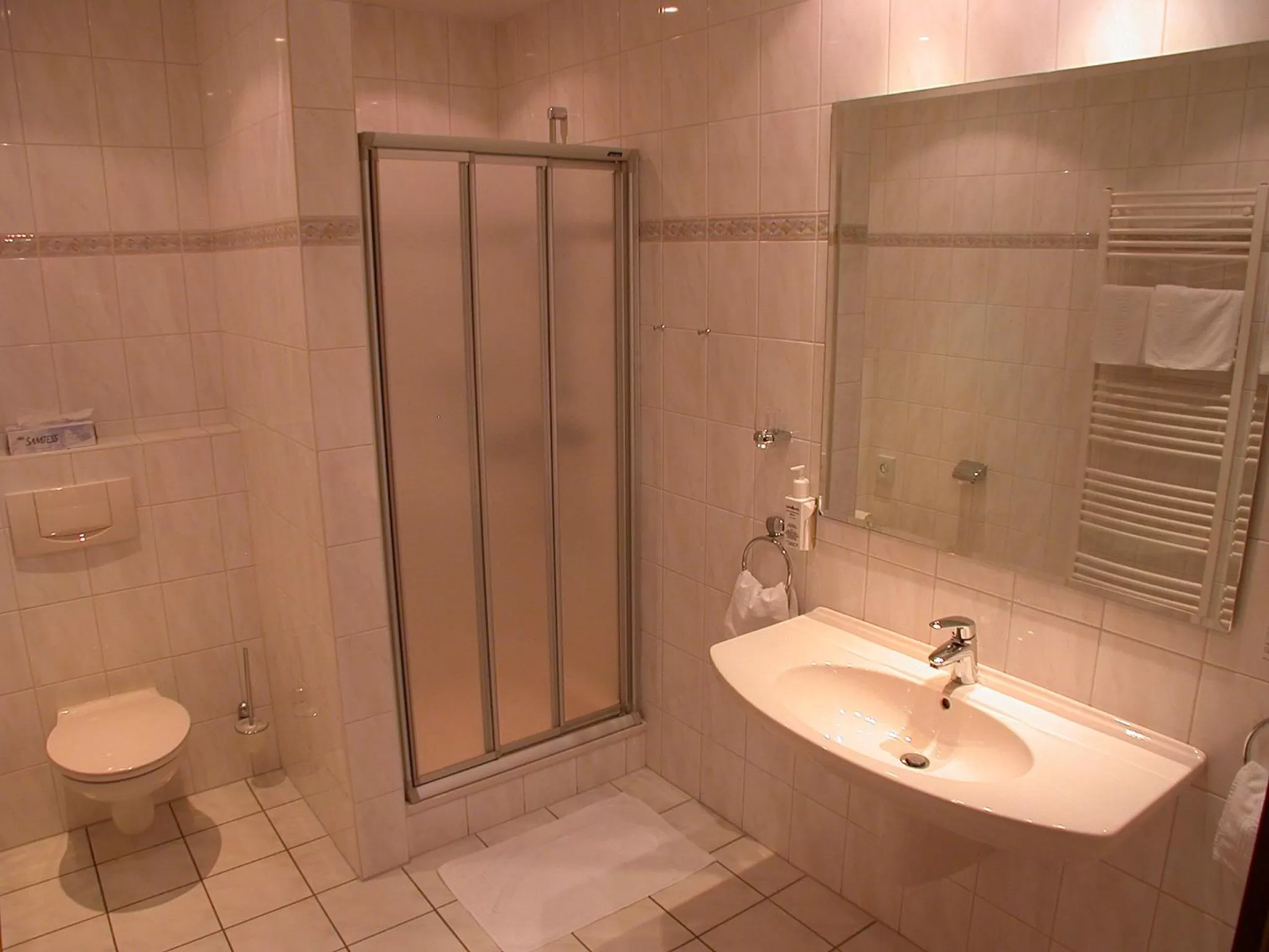Bathroom in Hotel Goos