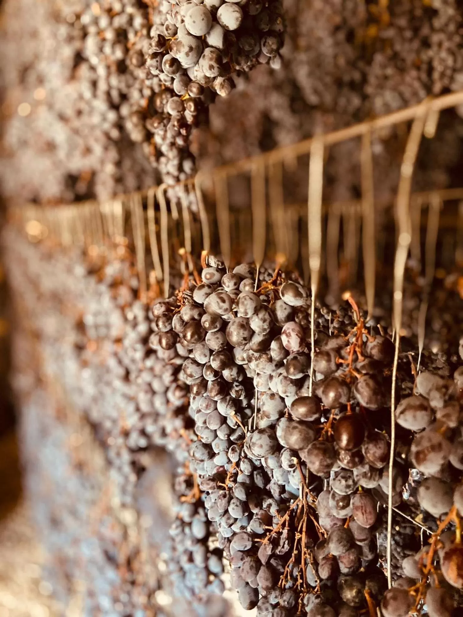 Hotel Montrubí 1771 - Slow Winery Hotel - Adults only