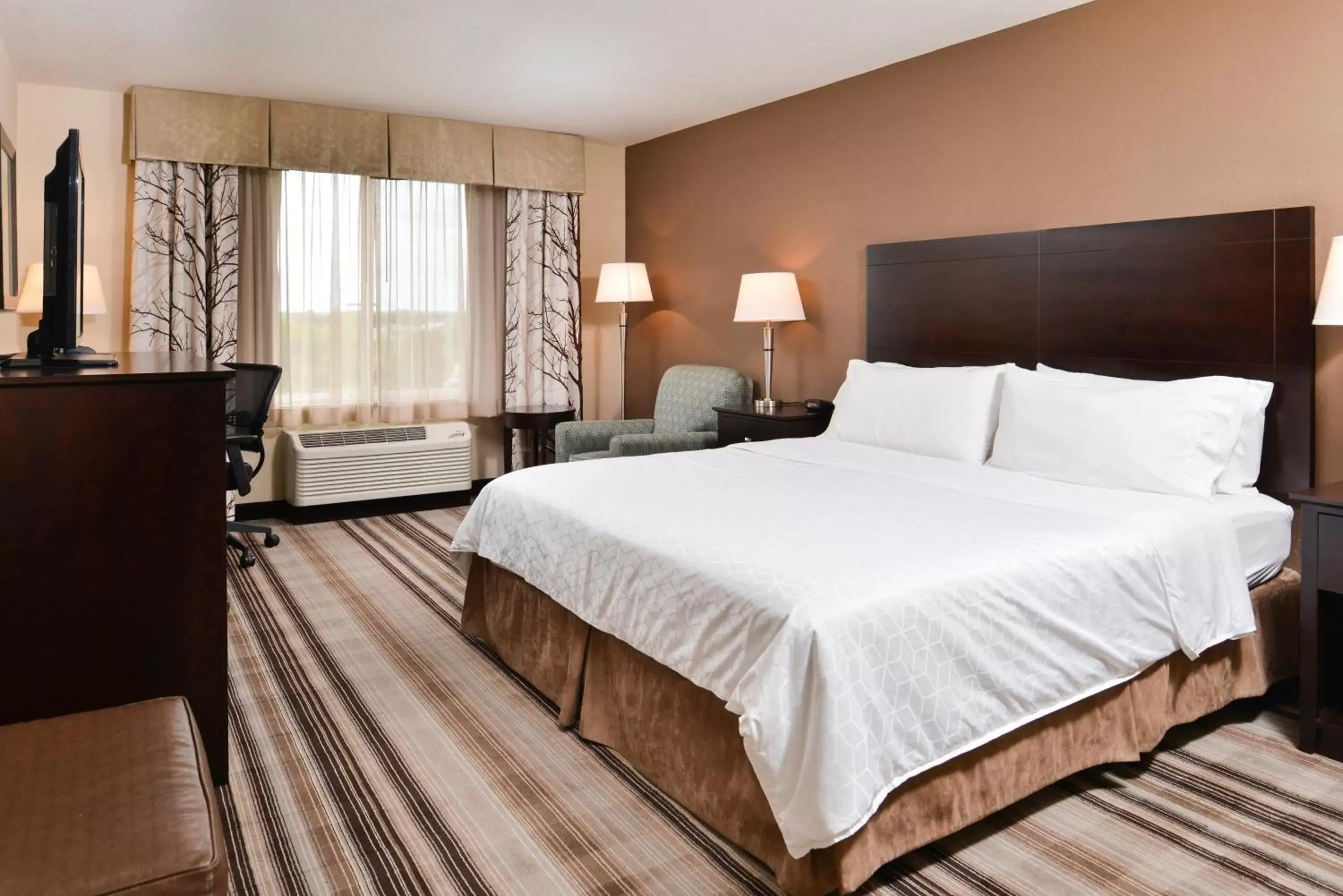 Executive King Room - Disability Access Hearing Impaired-Accessible in Holiday Inn Express & Suites Emporia Northwest, an IHG Hotel Executive King Room - Disability Access Hearing Impaired-Accessible in Holiday Inn Express & Suites Emporia Northwest, an IHG Hotel