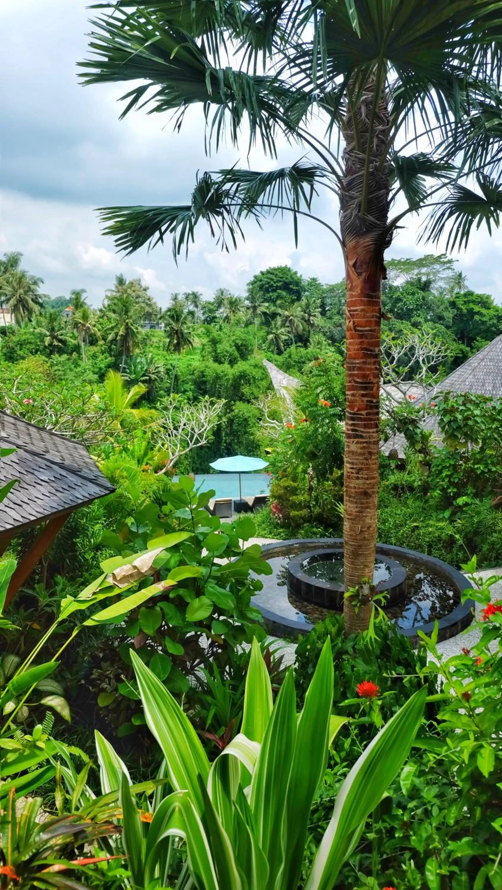 Garden in Kadewa Retreat Ubud - Adults Only