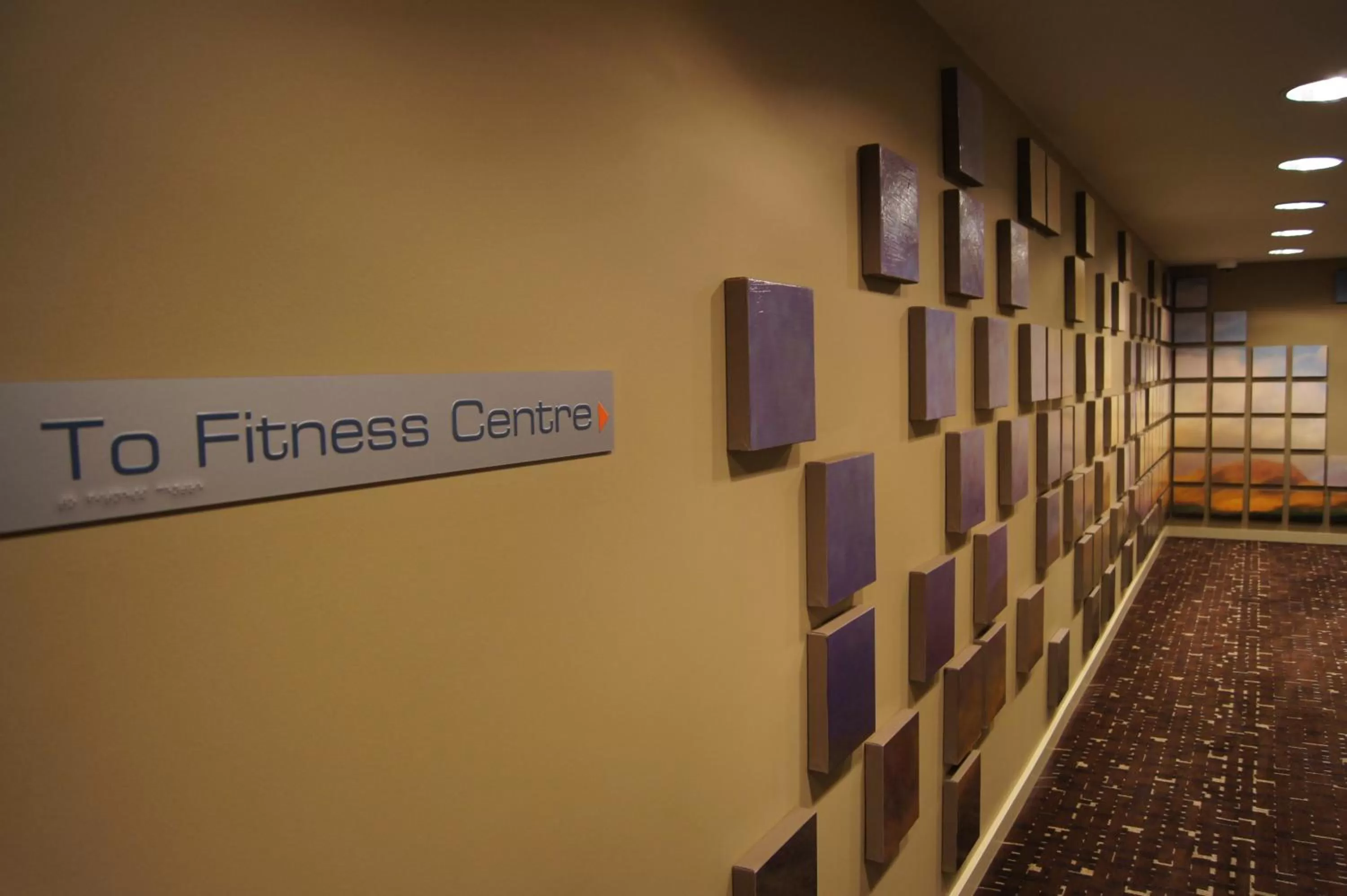 Fitness centre/facilities in Pullman Sydney Olympic Park