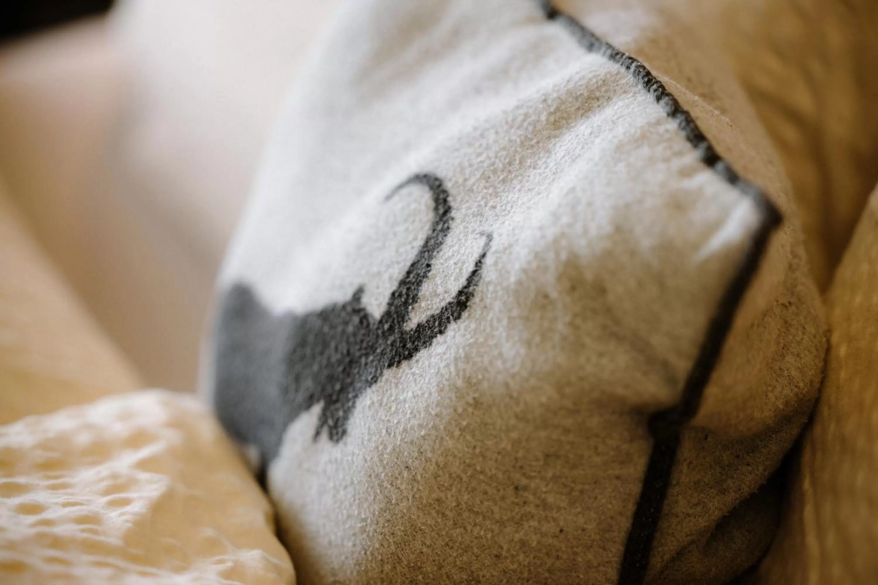 Bed in Berghotel Engstligenalp Adelboden