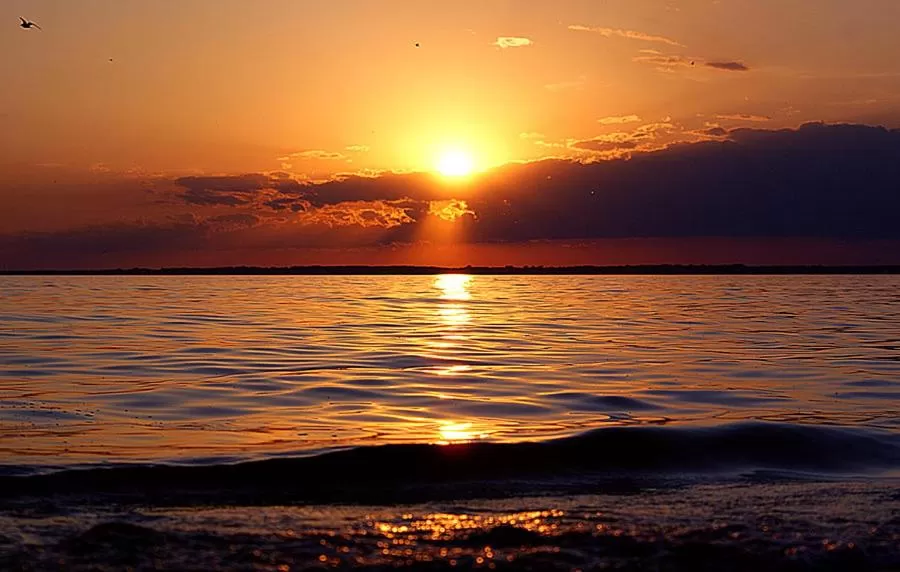 Beach in Isaiah Tubbs Resort & Conference Centre