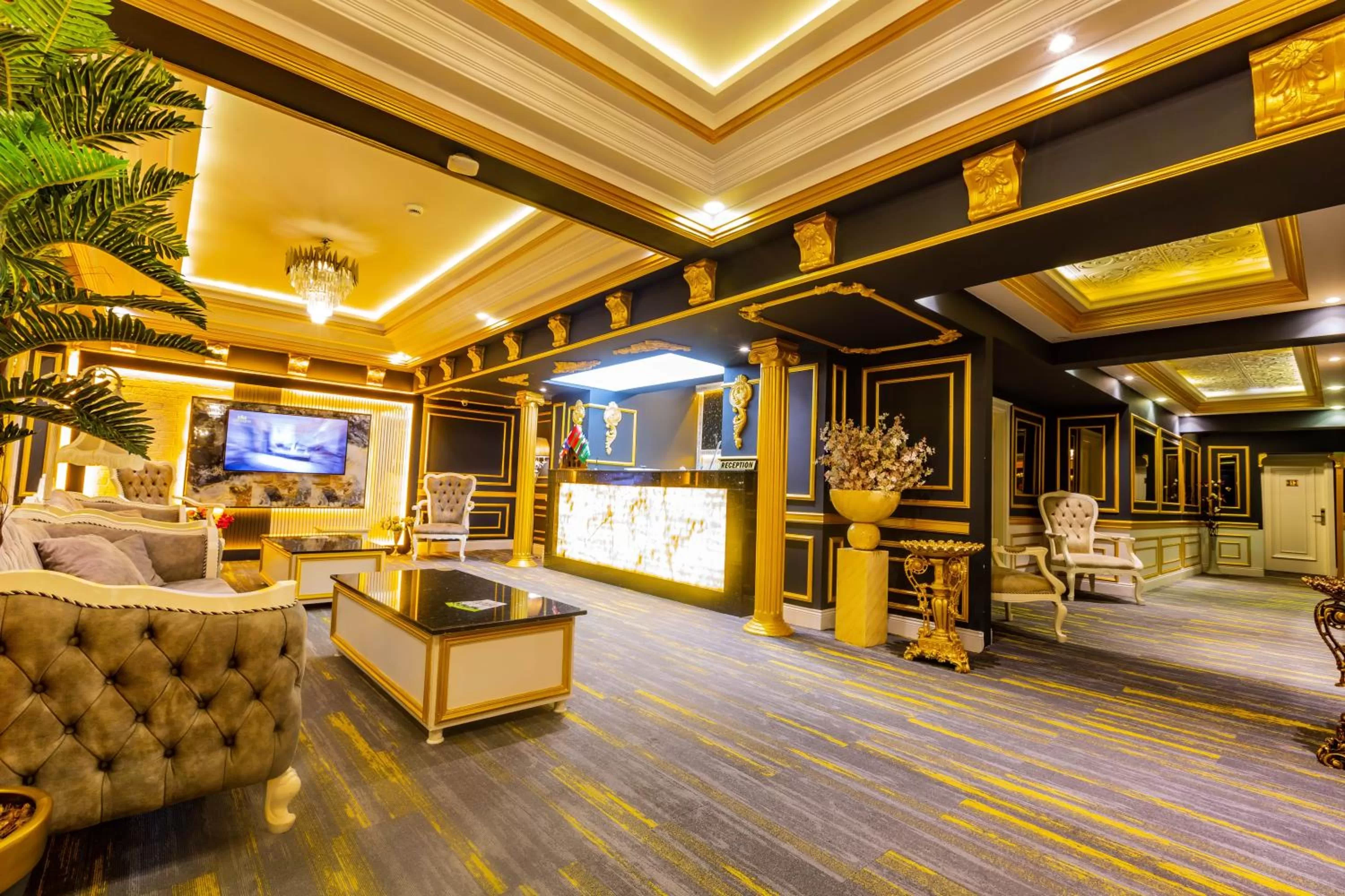 Communal lounge/ TV room in Andalouse Otel