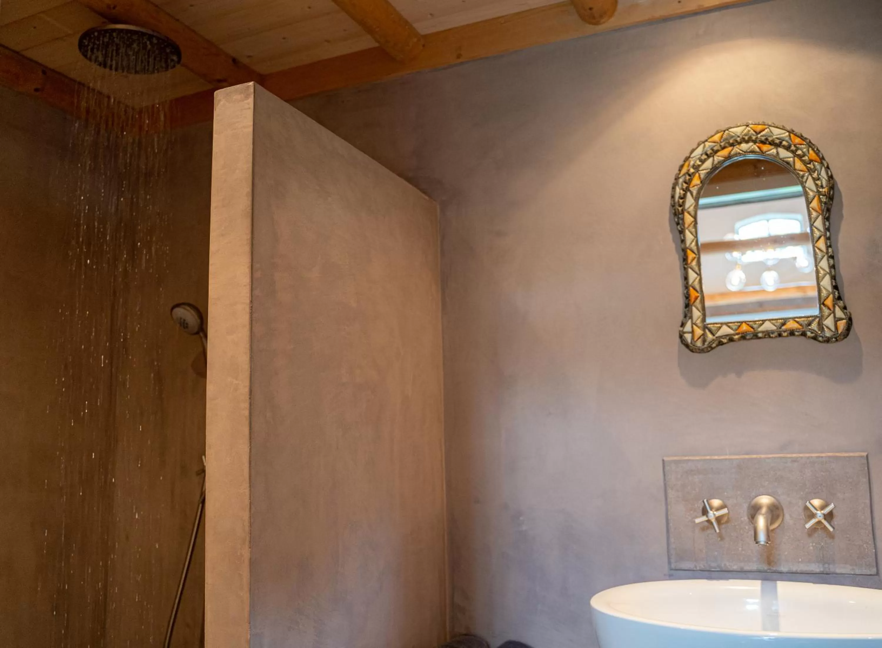 Shower, Bathroom in Sallandelijk Bakhuis