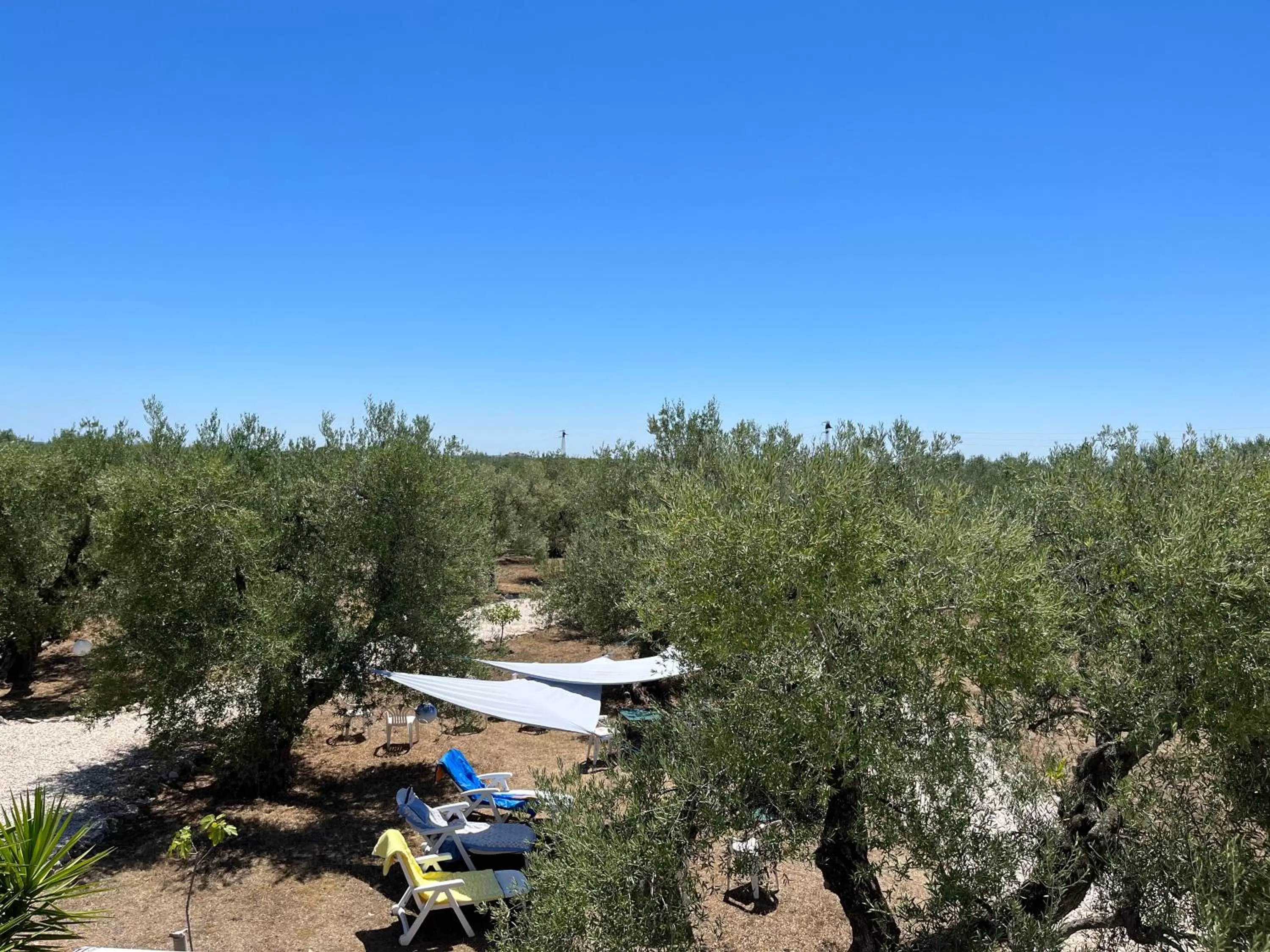 Natural landscape in B&B Villa Mediterranea with private parking