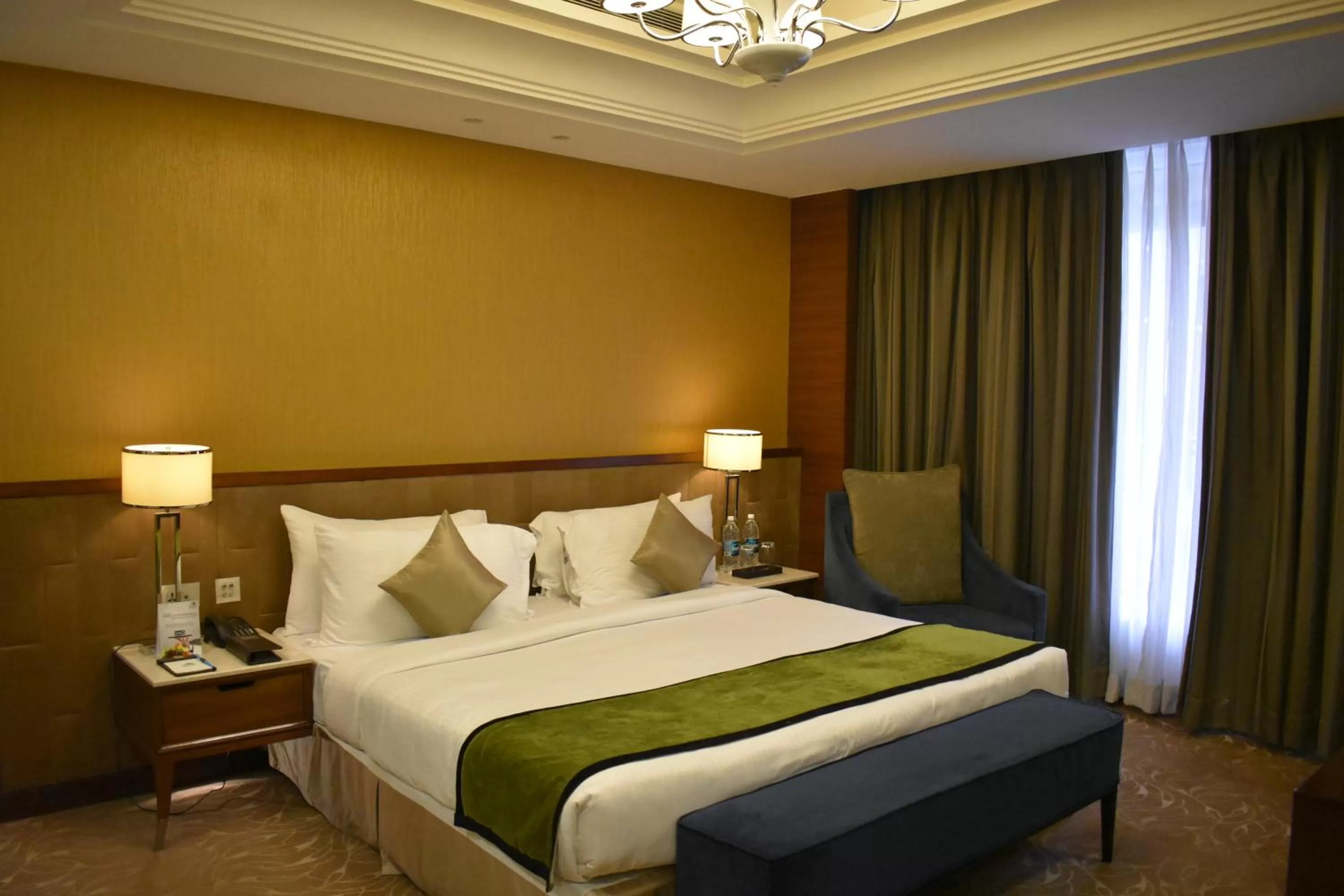 Bed in Sayaji Kolhapur