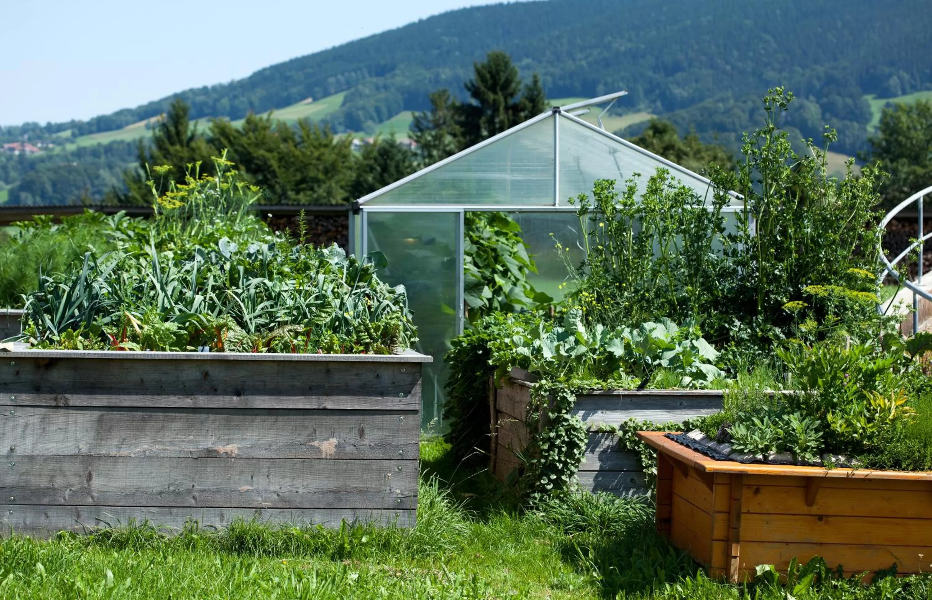 Garden in Panorama Hotel Gasthof Leidingerhof