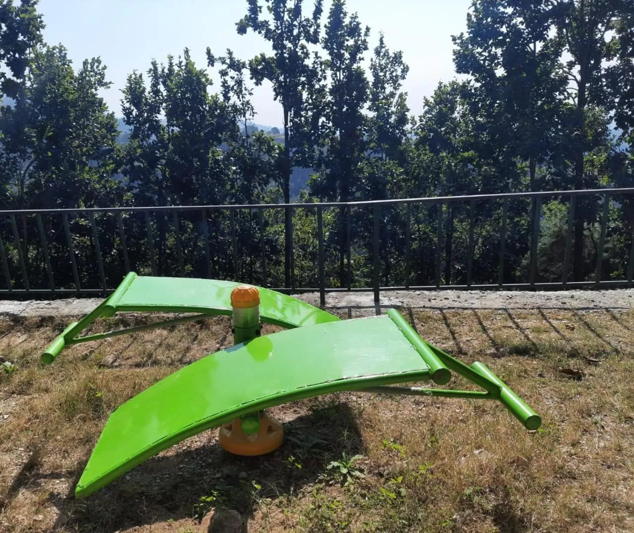 Swimming pool in Blue Pine Orchards